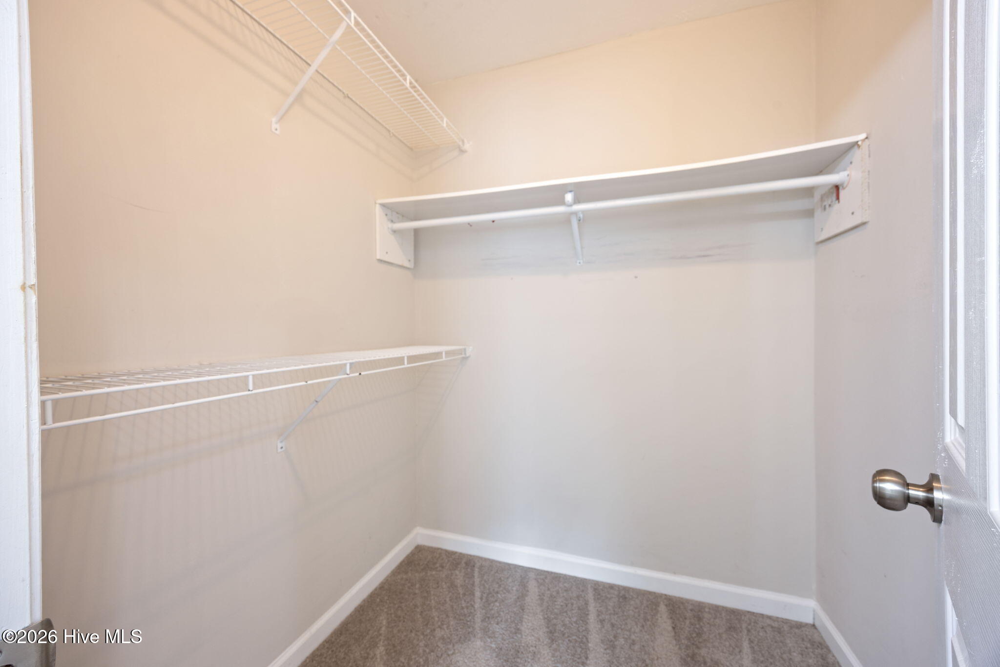1133 Bison Way Property Photo 32