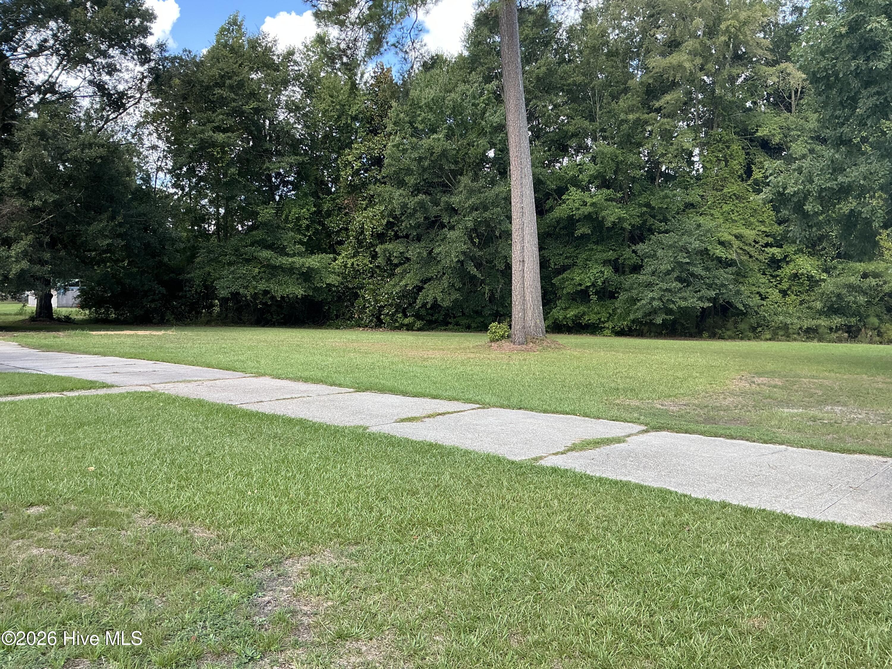 221 E Bladen Street Property Photo 10