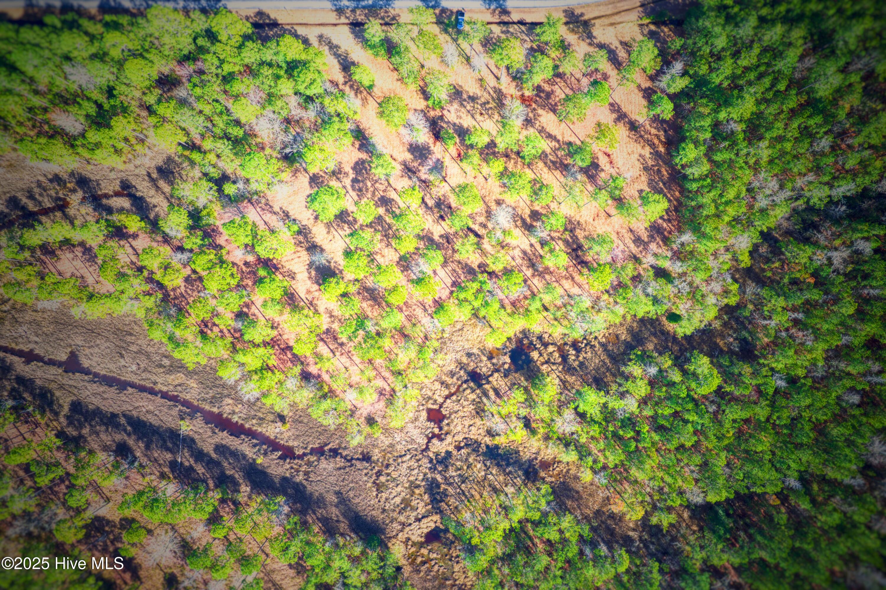 203 Paradox Point Drive Property Photo 3
