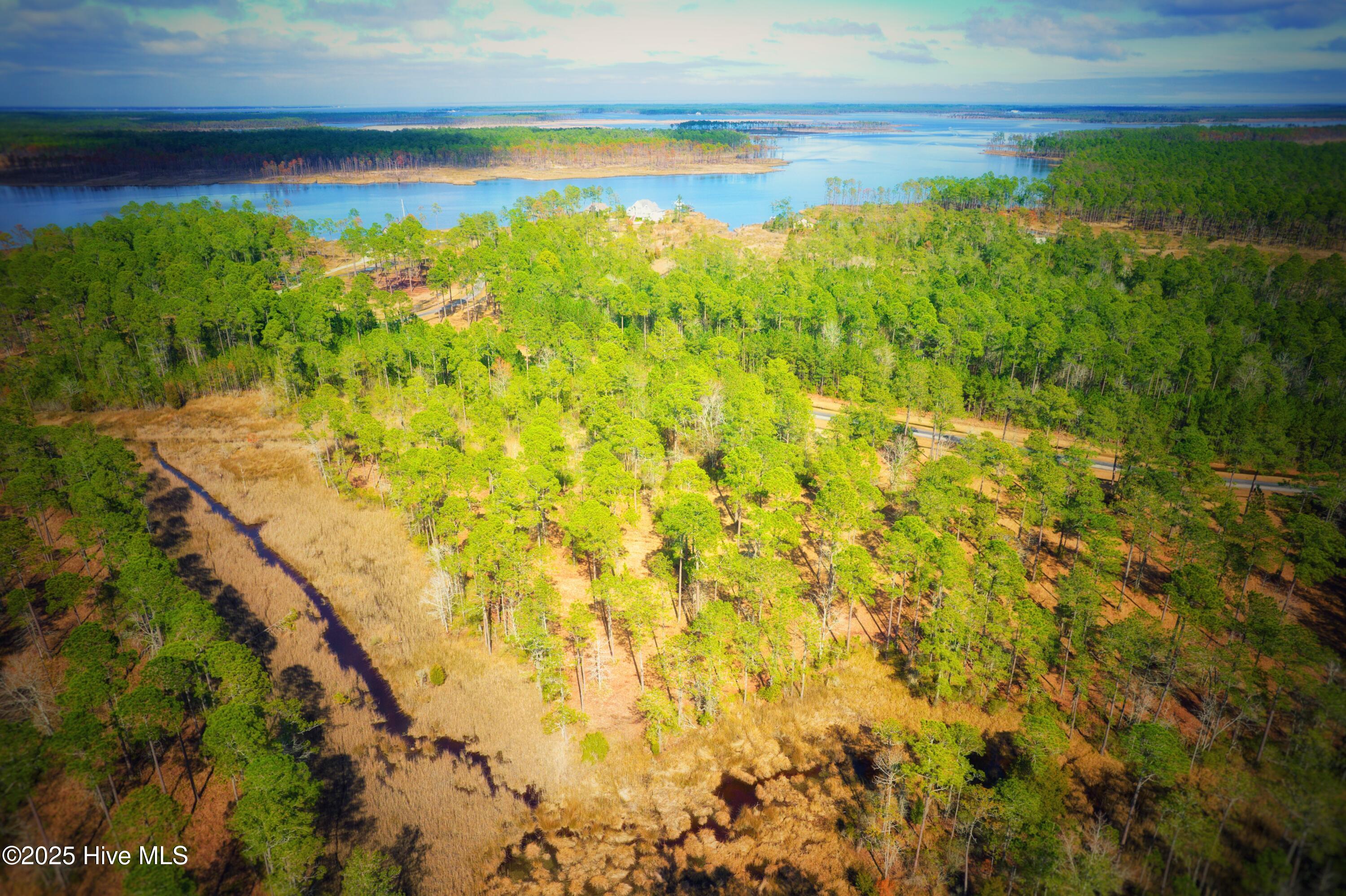 203 Paradox Point Drive Property Photo 4