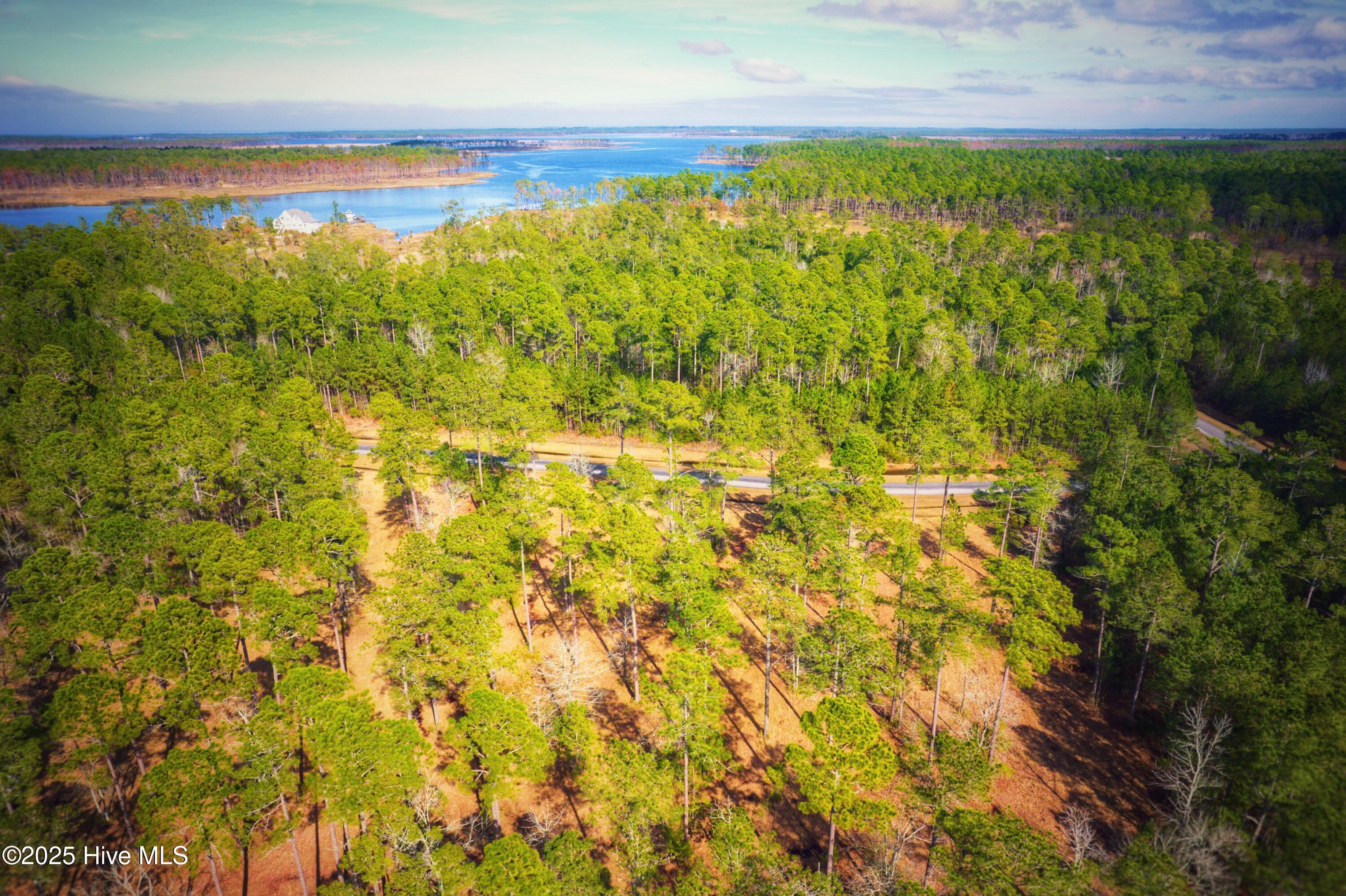203 Paradox Point Drive Property Photo 5