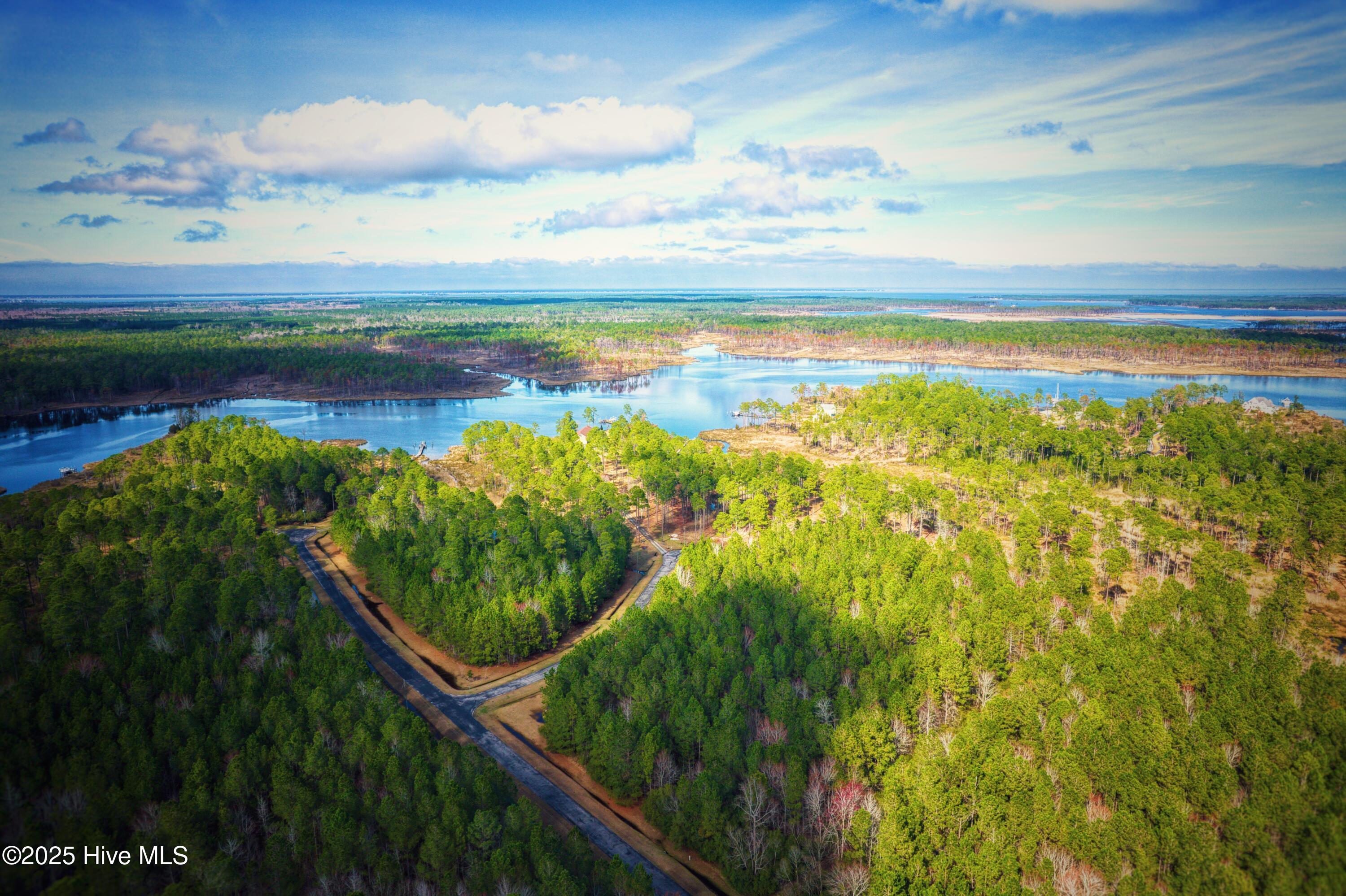 203 Paradox Point Drive Property Photo 6