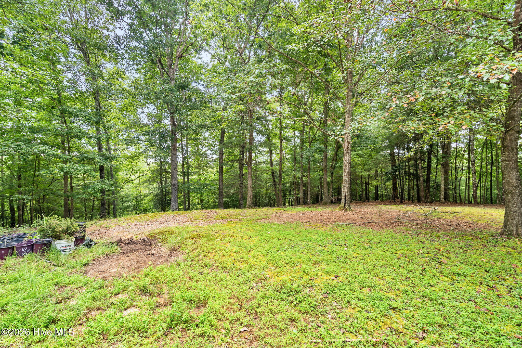 71 Bob White Lane Property Photo 21