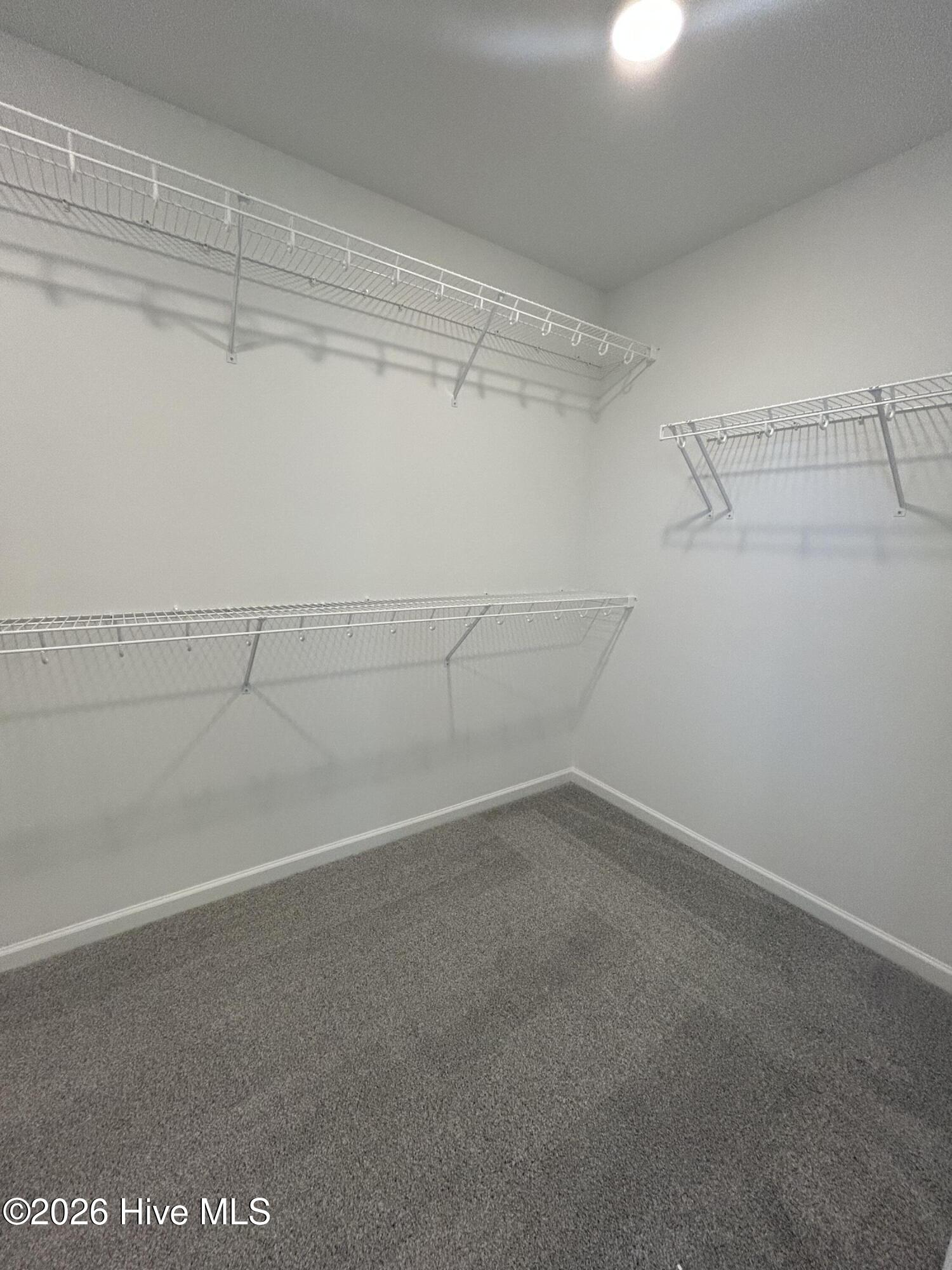 109 Constitution Court Property Photo 12