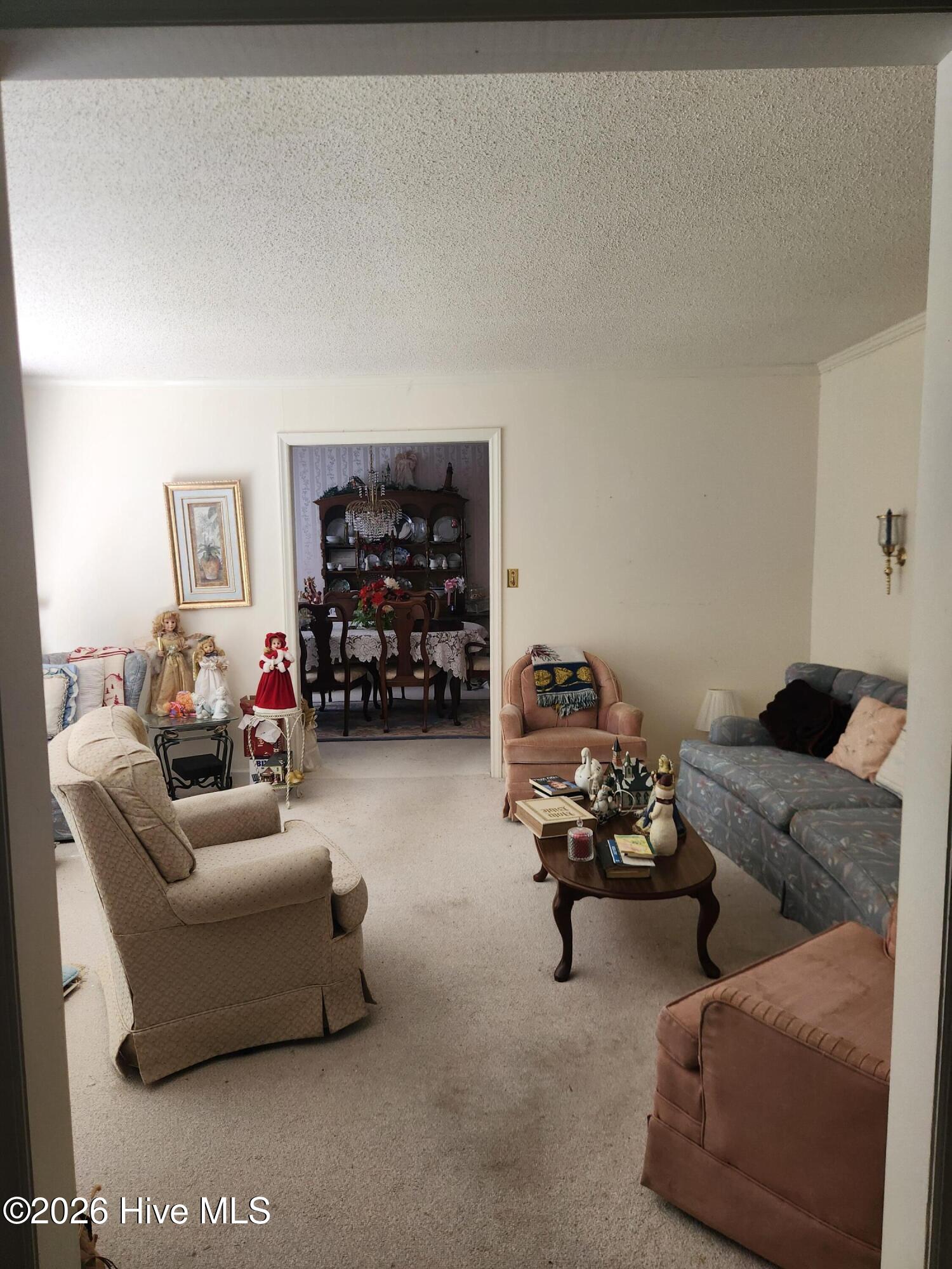 103 Ellison Drive Property Photo 17