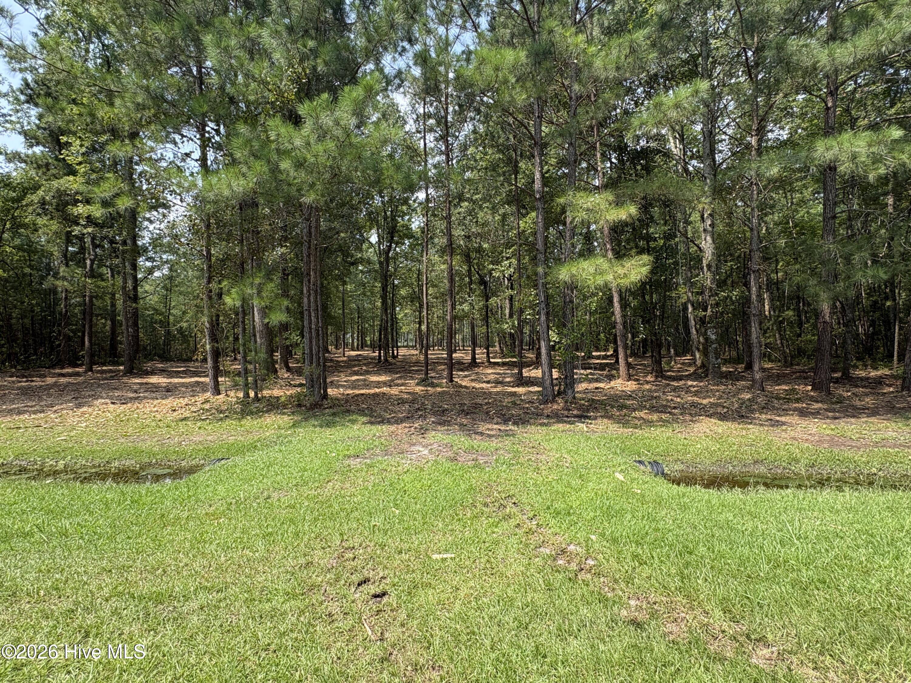 Lot 51a Sunset Point Road Property Photo 13