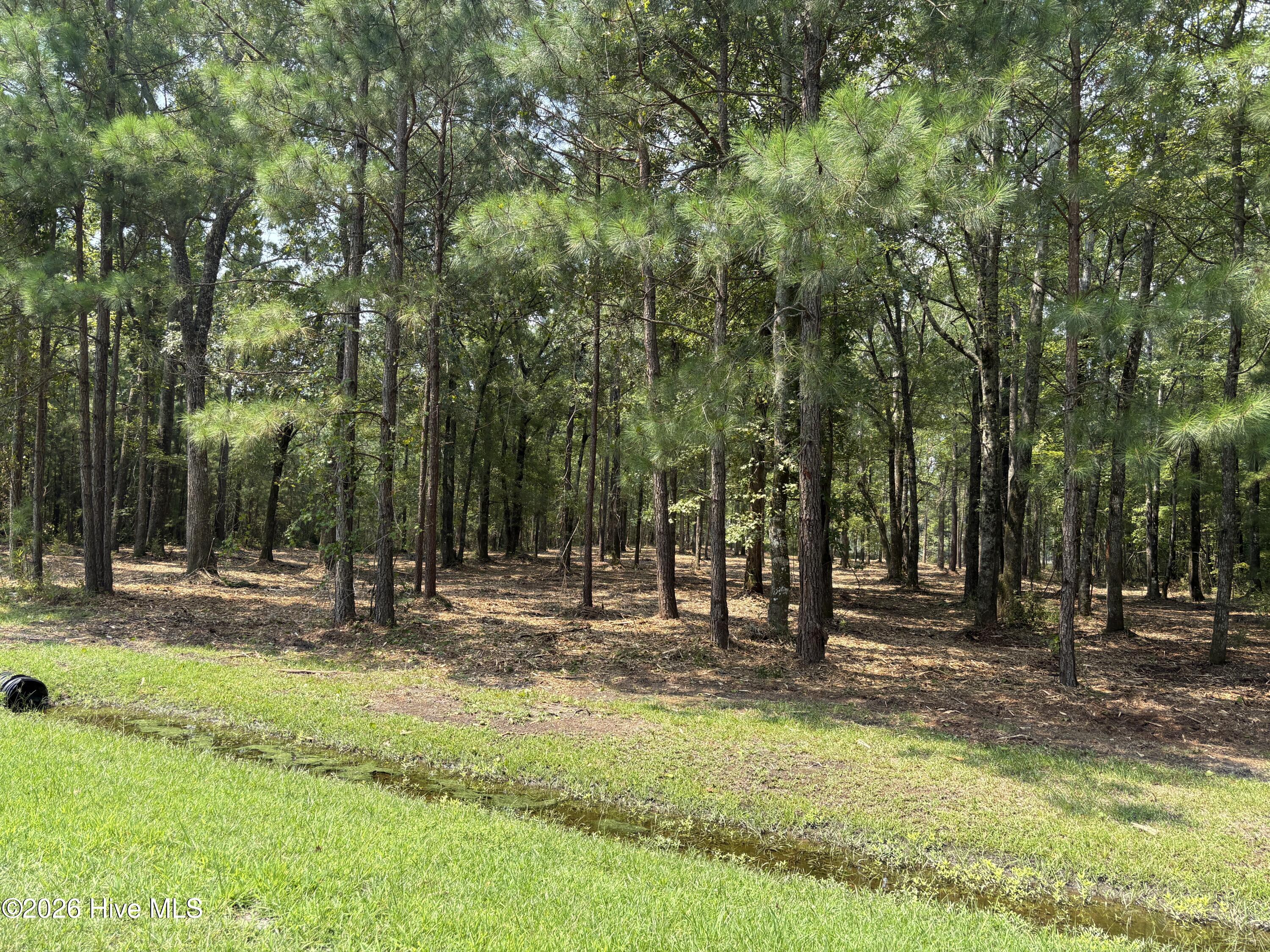 Lot 51a Sunset Point Road Property Photo 14