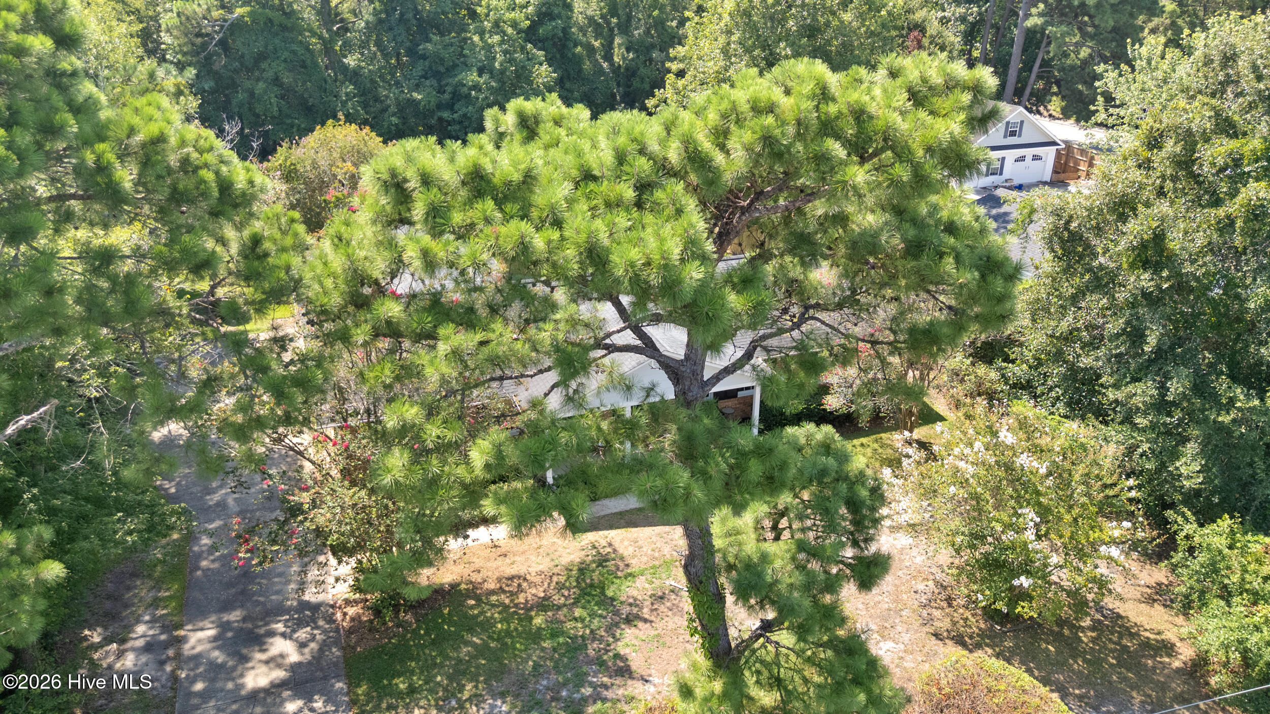 506 Tanbridge Road Property Photo 46