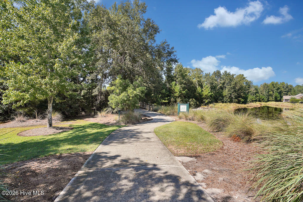 7091 Muskerry Way Property Photo 89