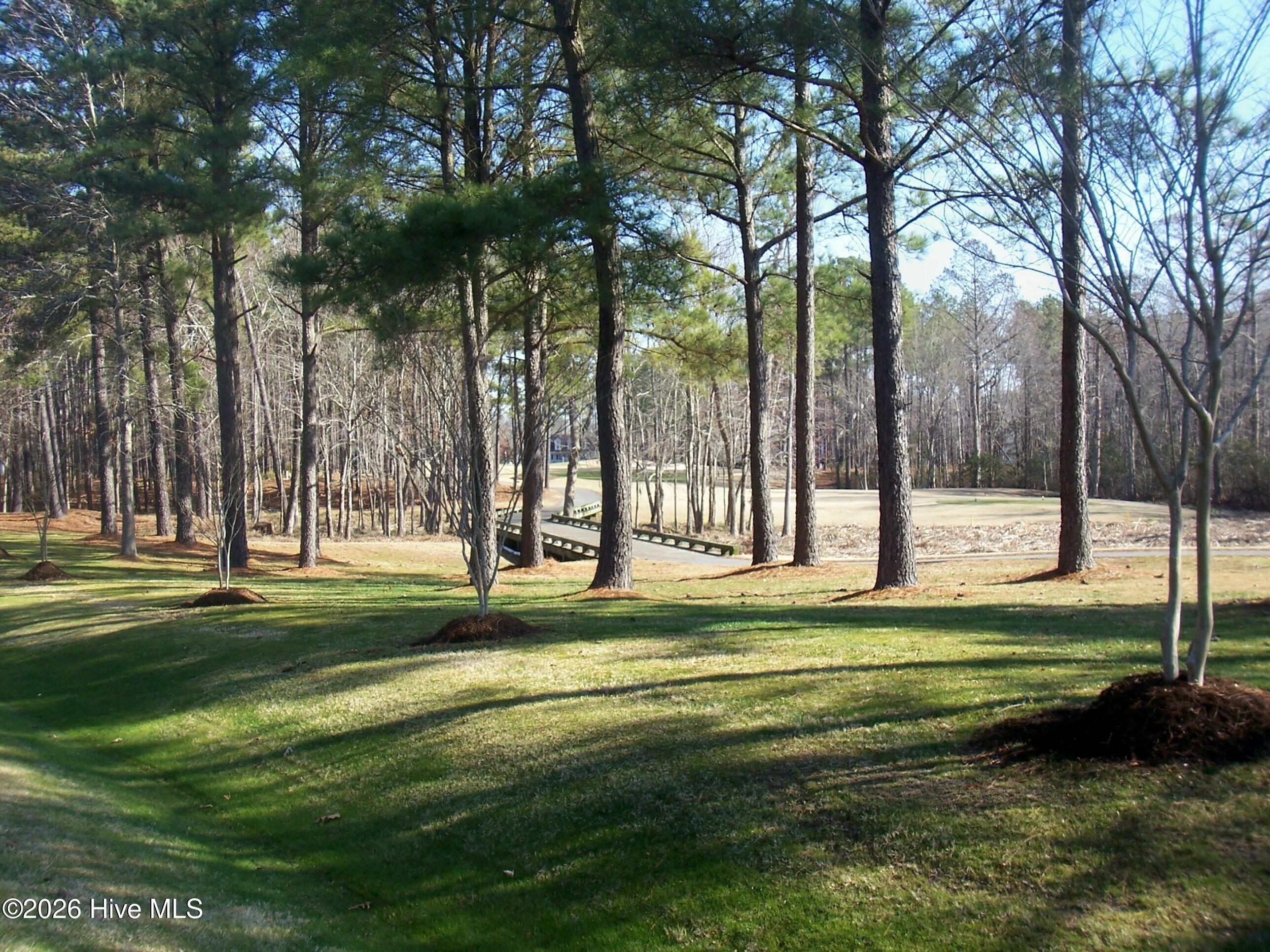 55 55y Randolph Loop N Property Photo 10