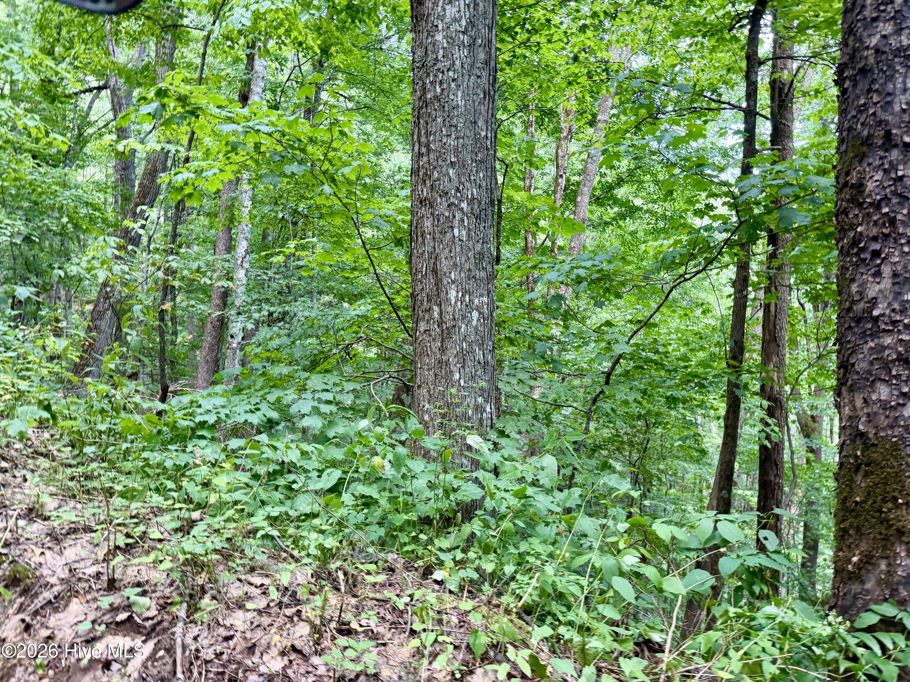 4181 Huffman Creek Road 32 Property Photo 39