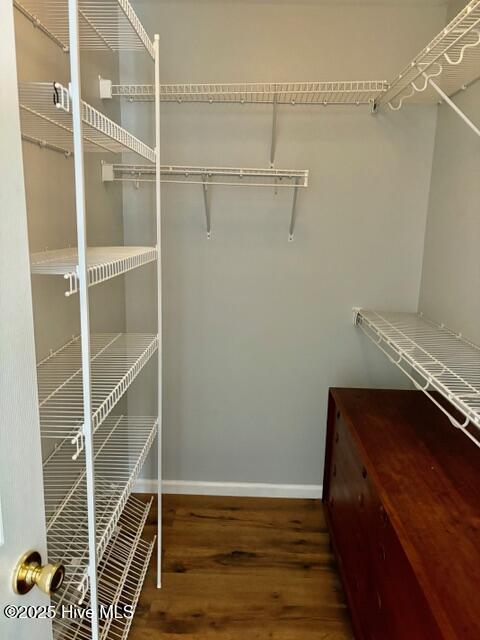 113 Gladiola Drive Property Photo 9