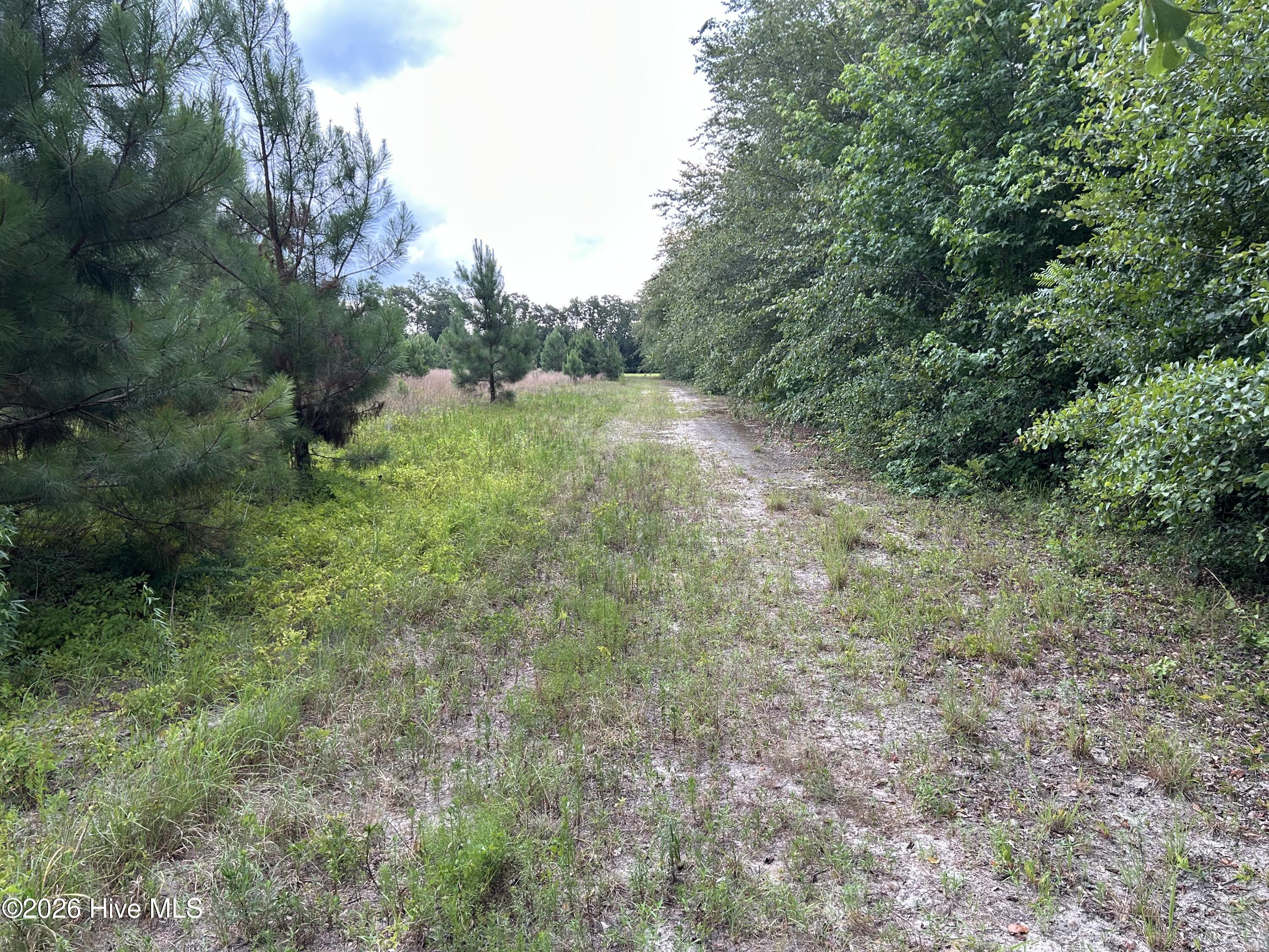 0000 Autrytown Road Property Photo 24