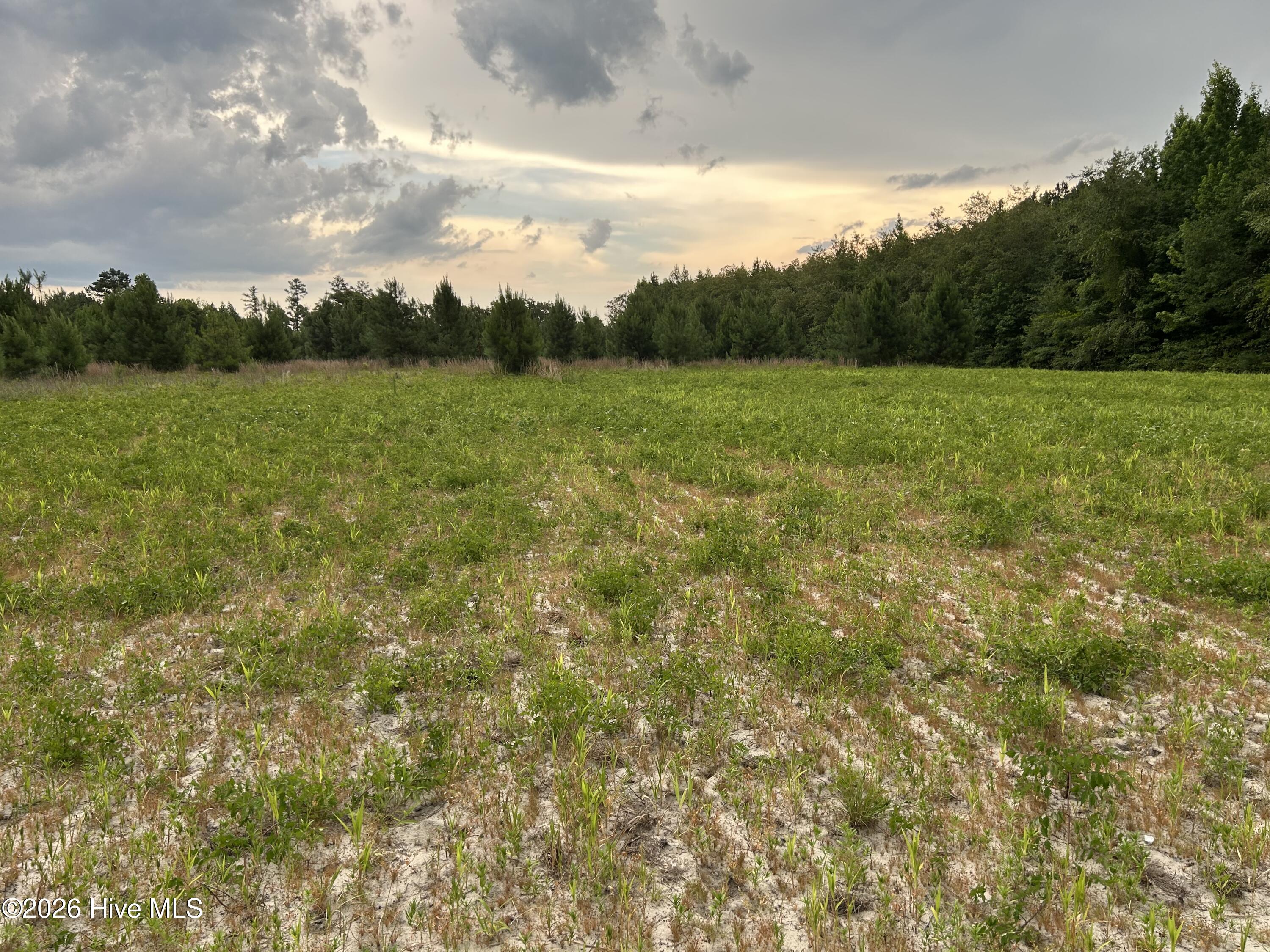 0000 Autrytown Road Property Photo 25
