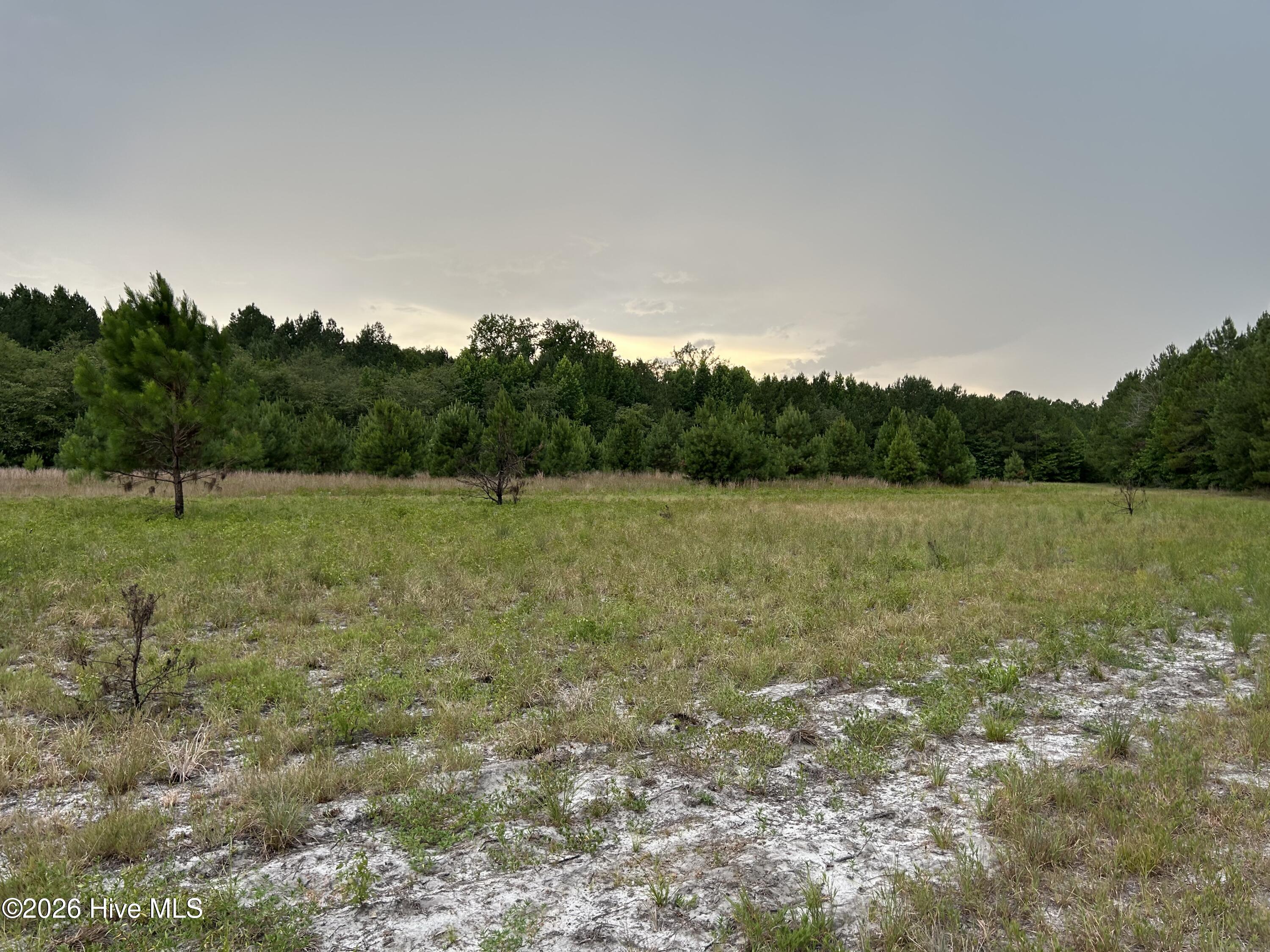 0000 Autrytown Road Property Photo 26