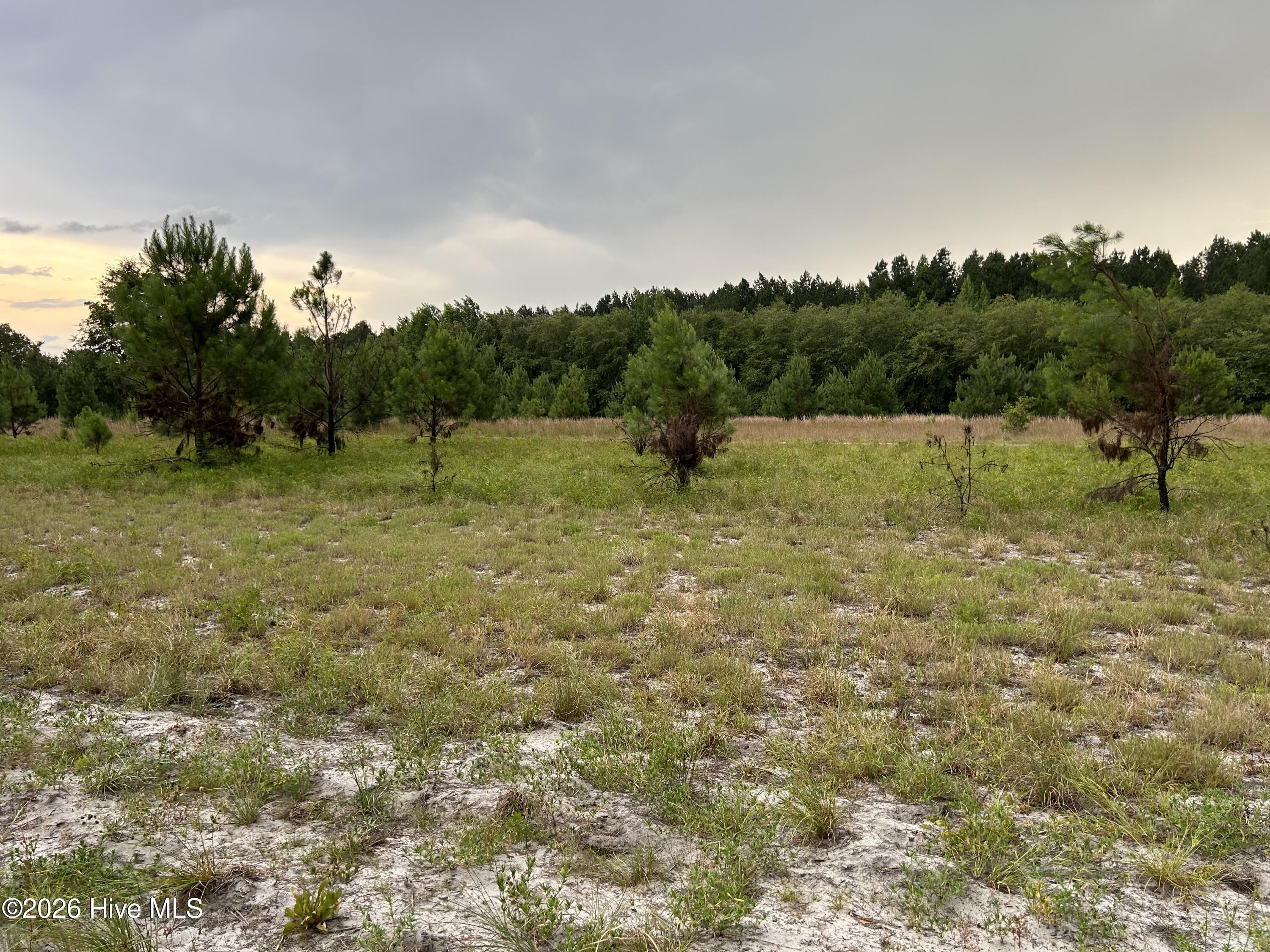 0000 Autrytown Road Property Photo 27