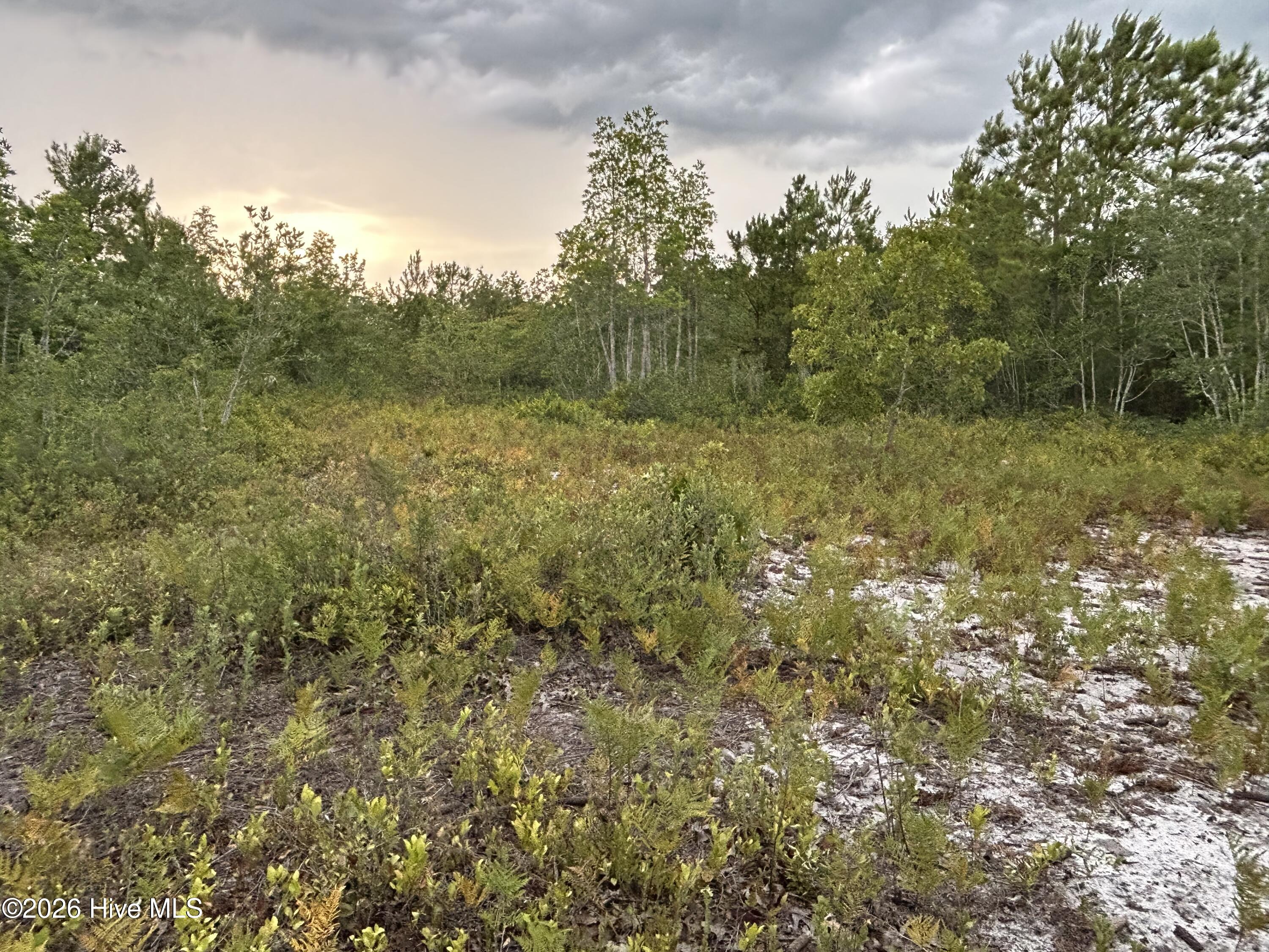 0000 Autrytown Road Property Photo 29