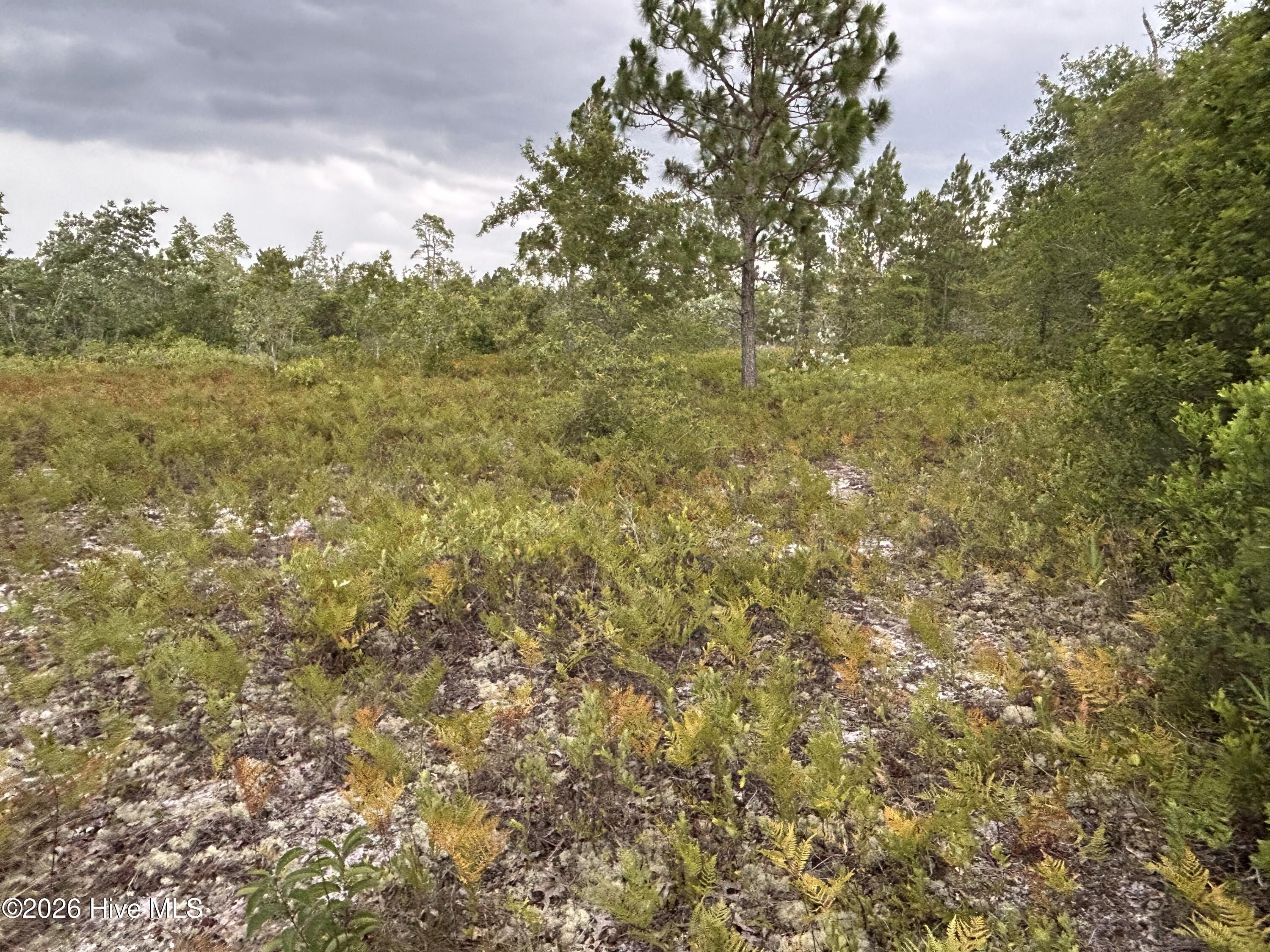 0000 Autrytown Road Property Photo 30