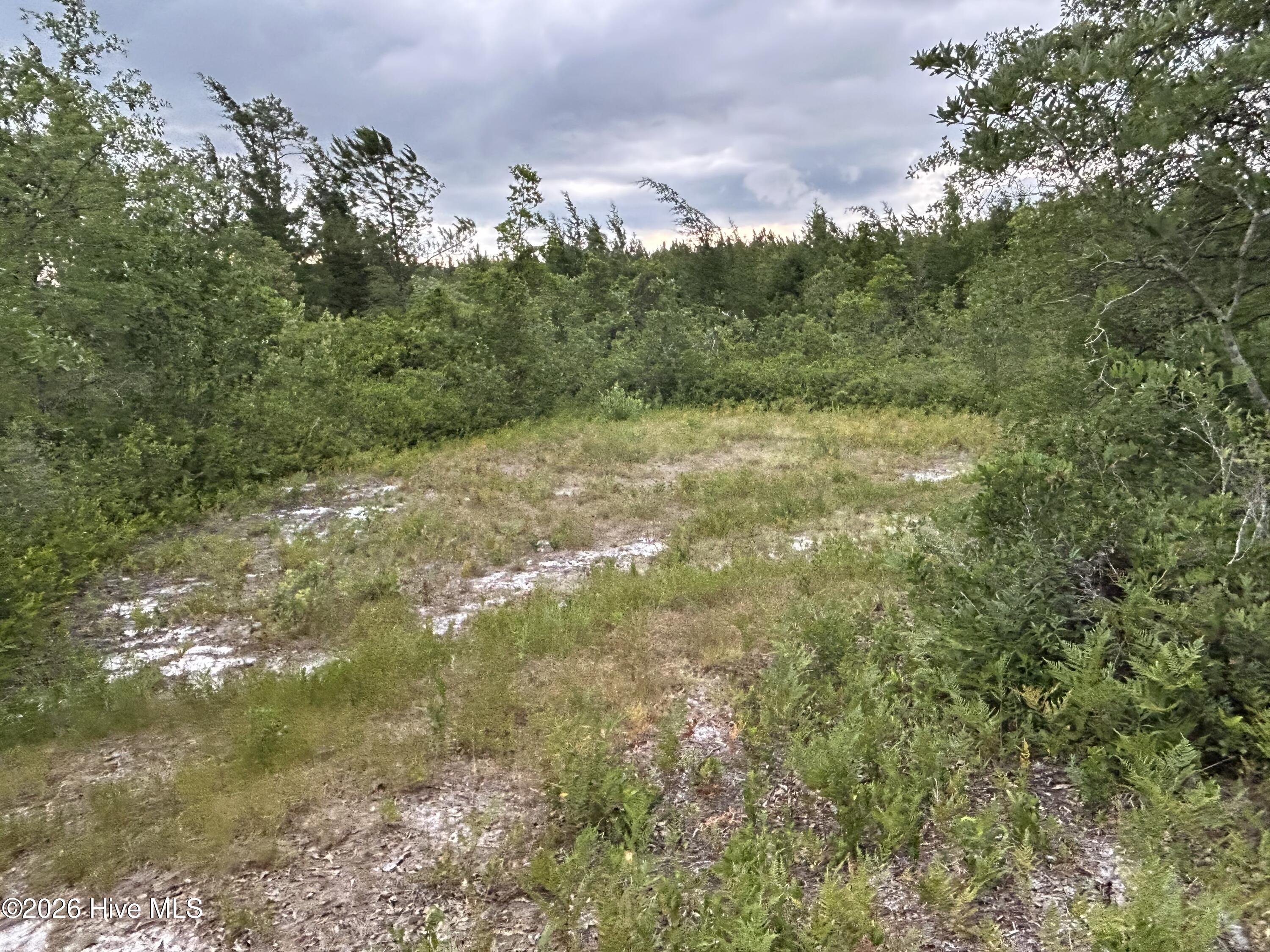 0000 Autrytown Road Property Photo 31