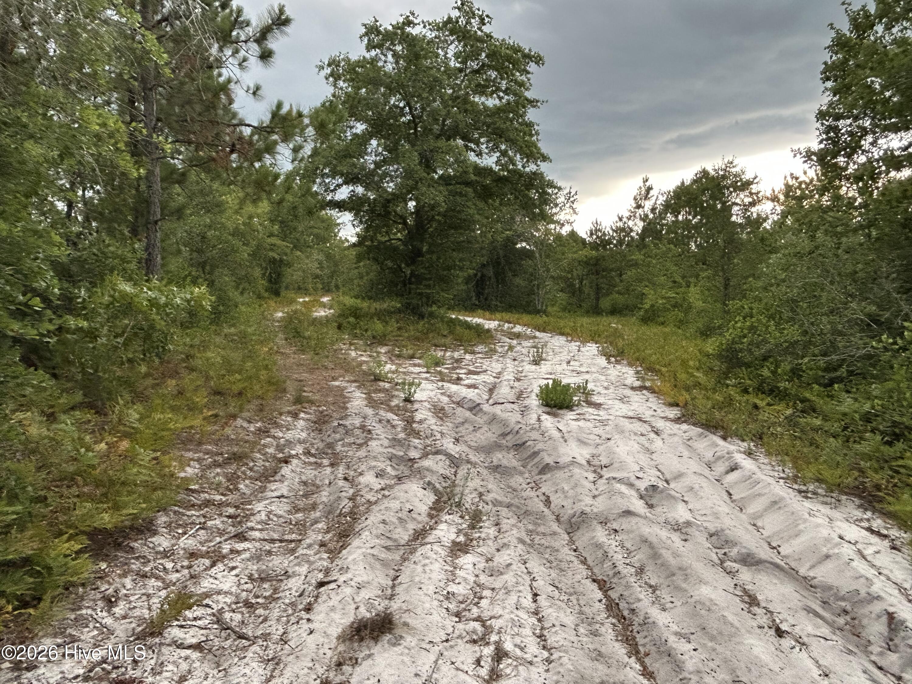 0000 Autrytown Road Property Photo 32