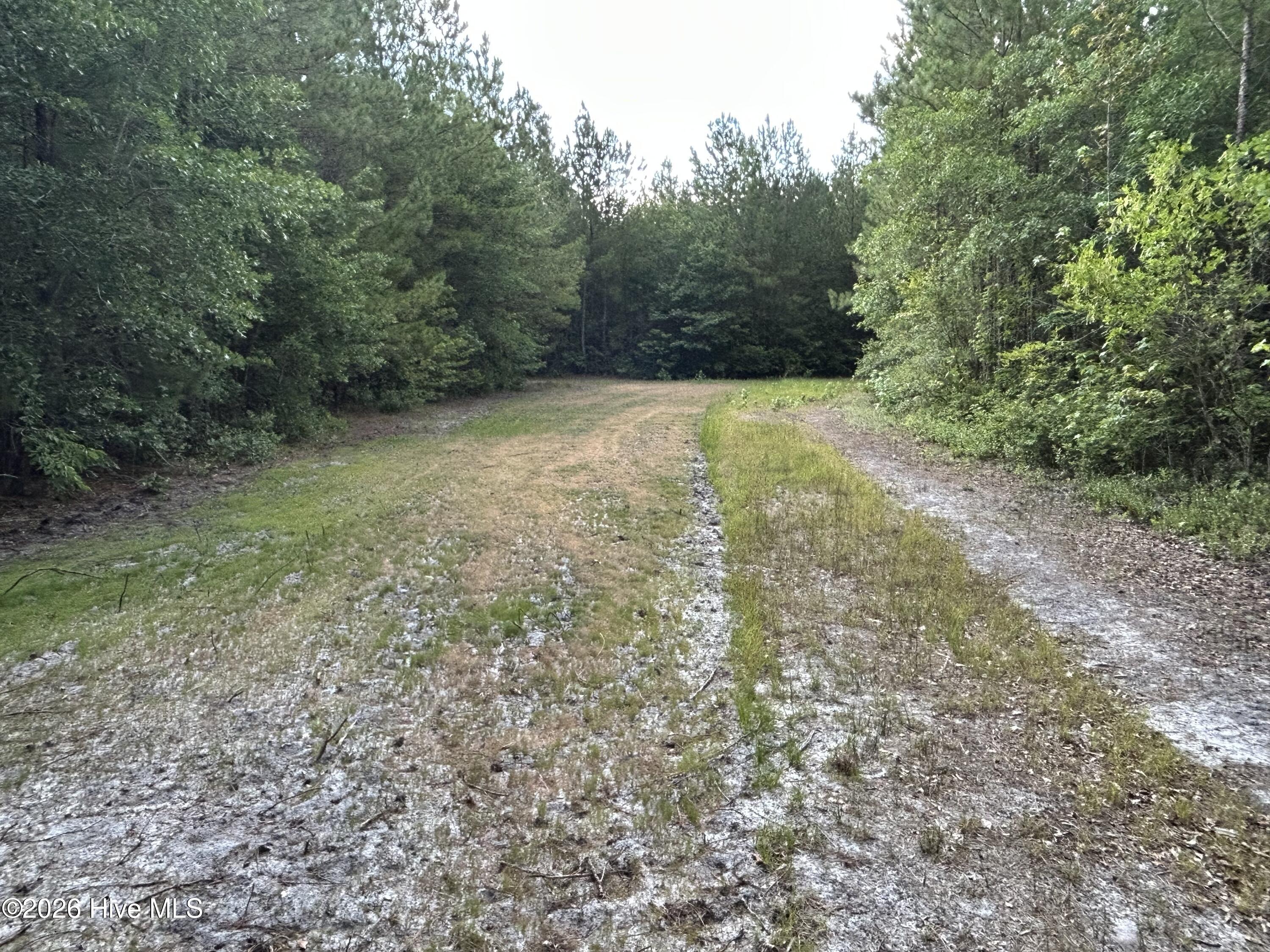 0000 Autrytown Road Property Photo 35