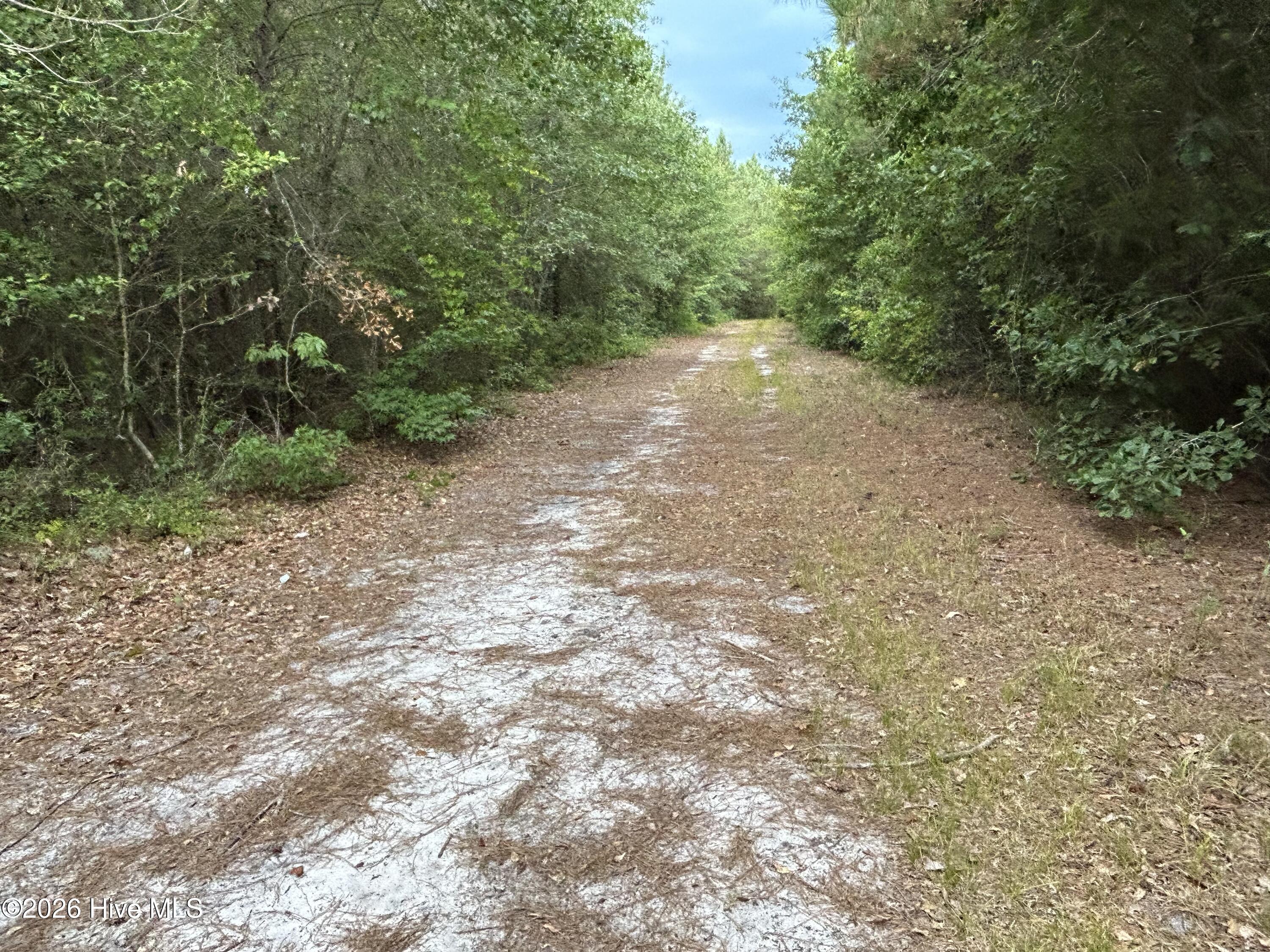0000 Autrytown Road Property Photo 36