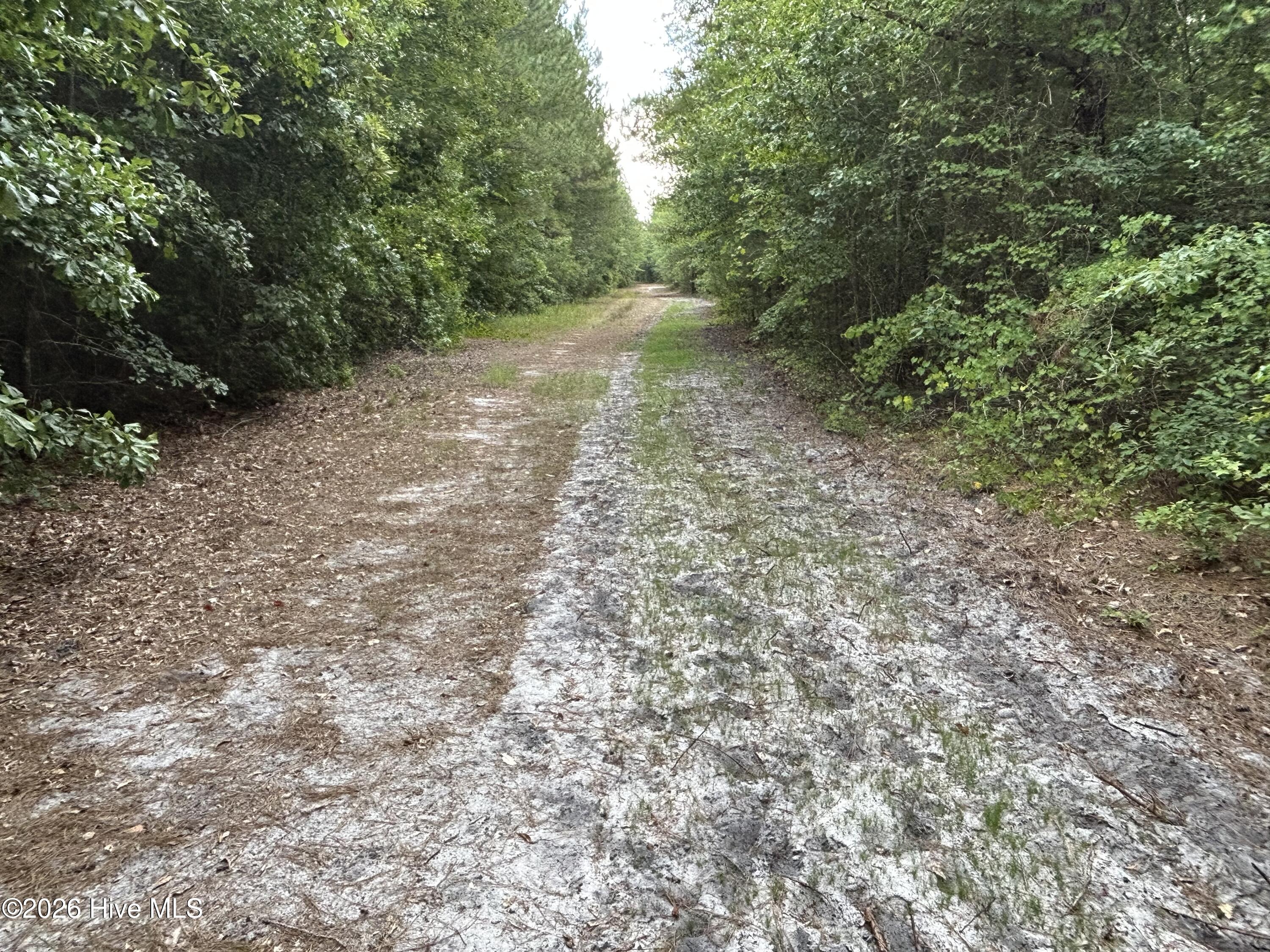 0000 Autrytown Road Property Photo 37