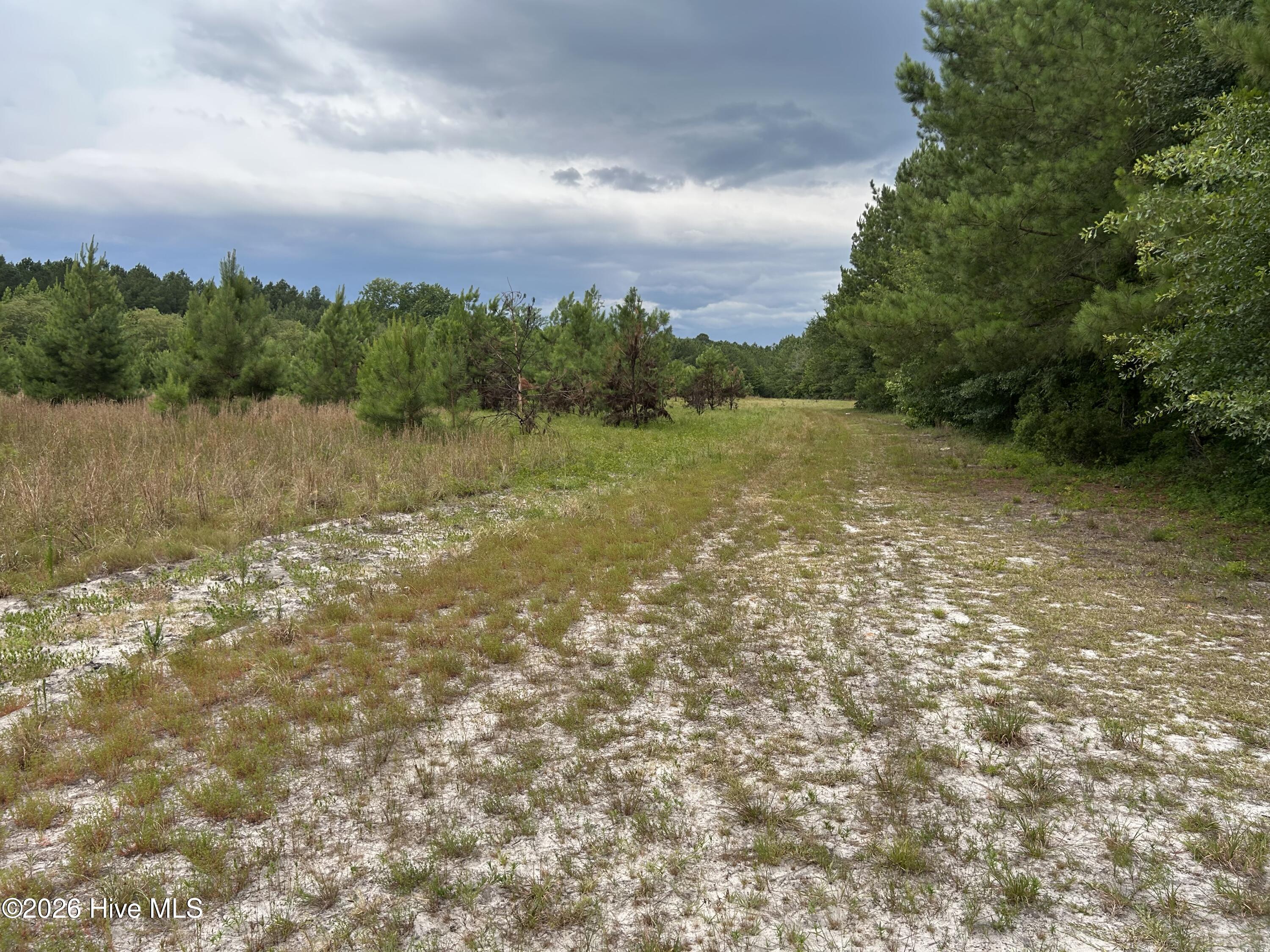 0000 Autrytown Road Property Photo 39