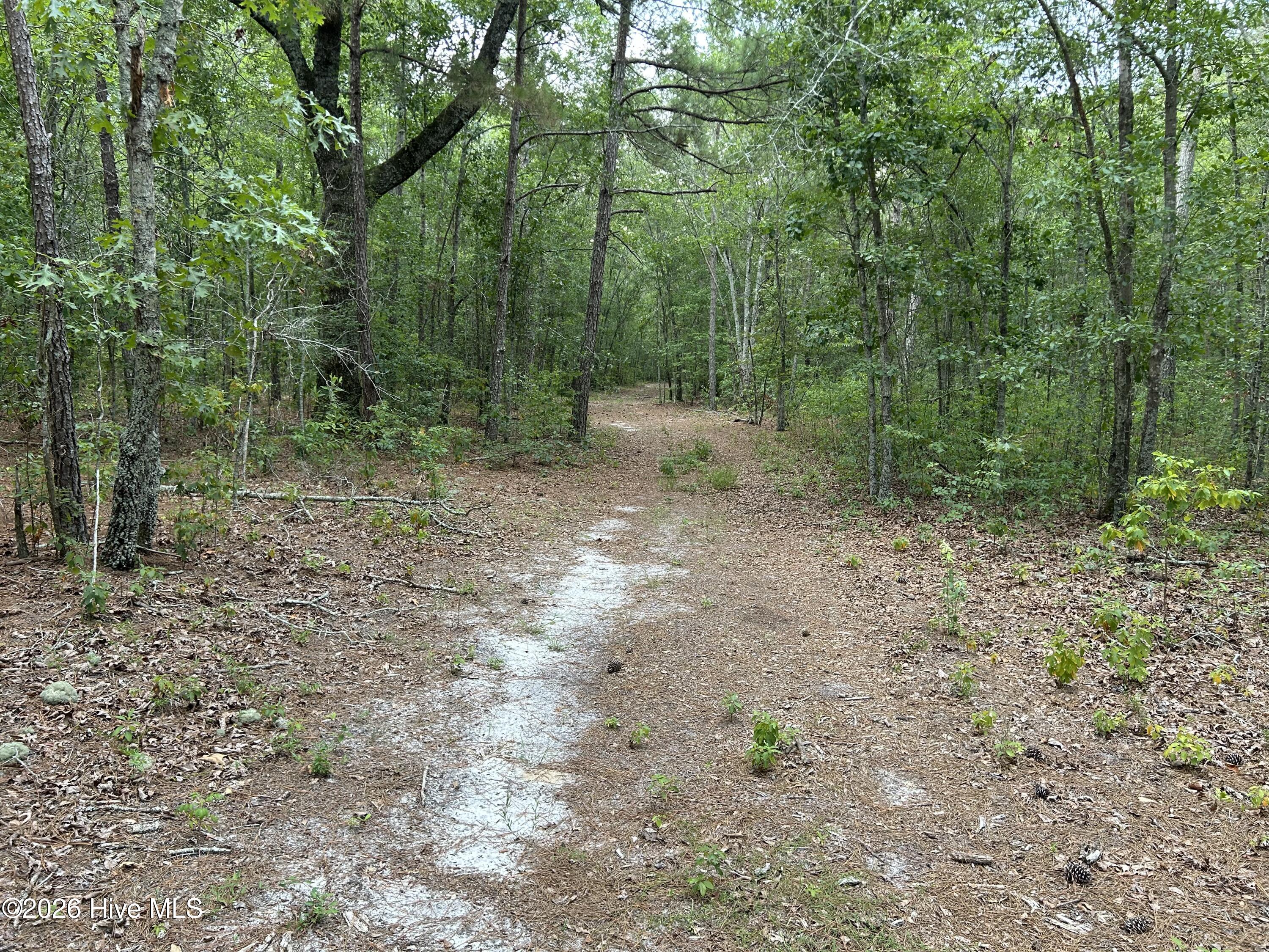 0000 Autrytown Road Property Photo 40