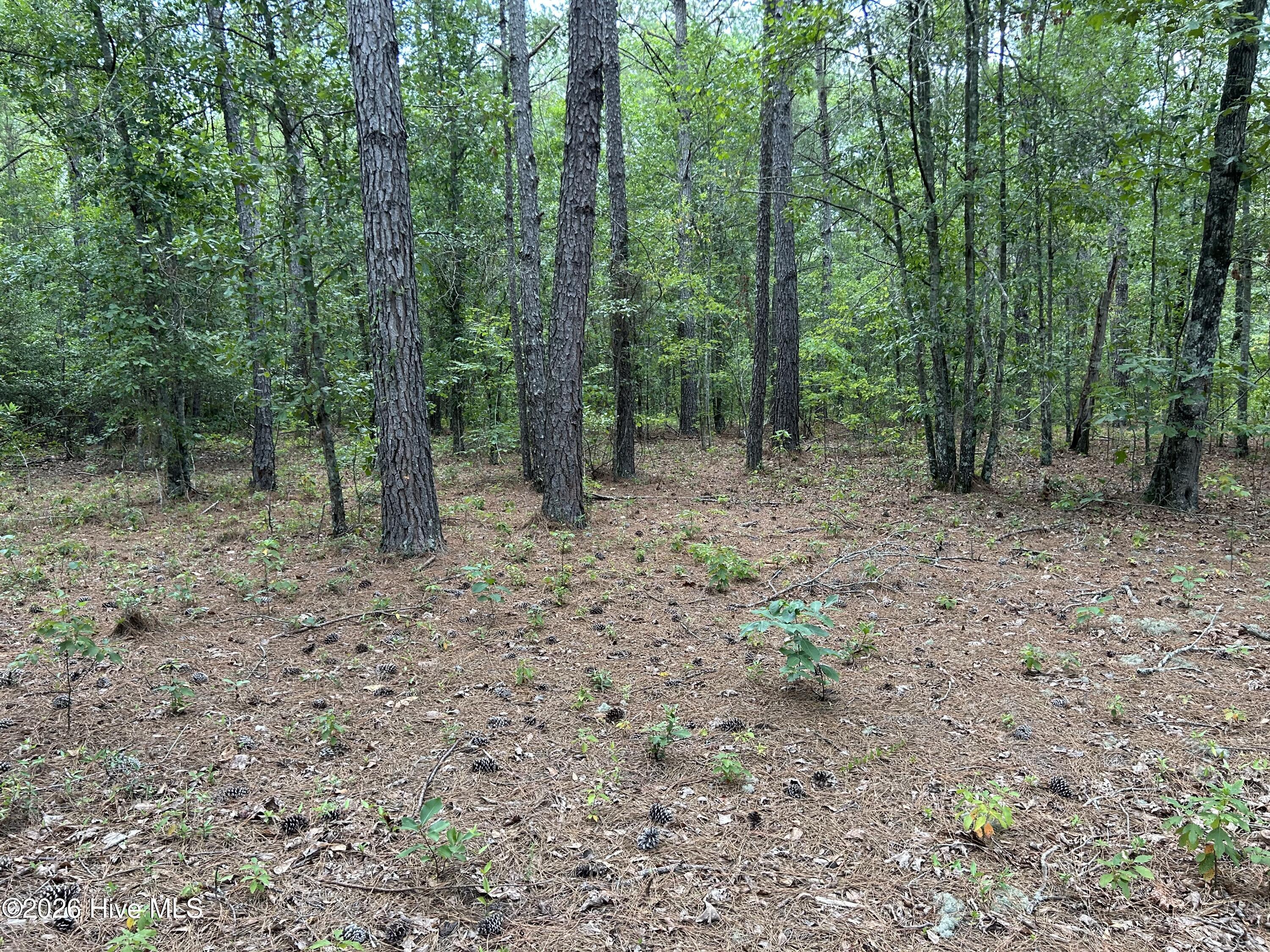 0000 Autrytown Road Property Photo 41
