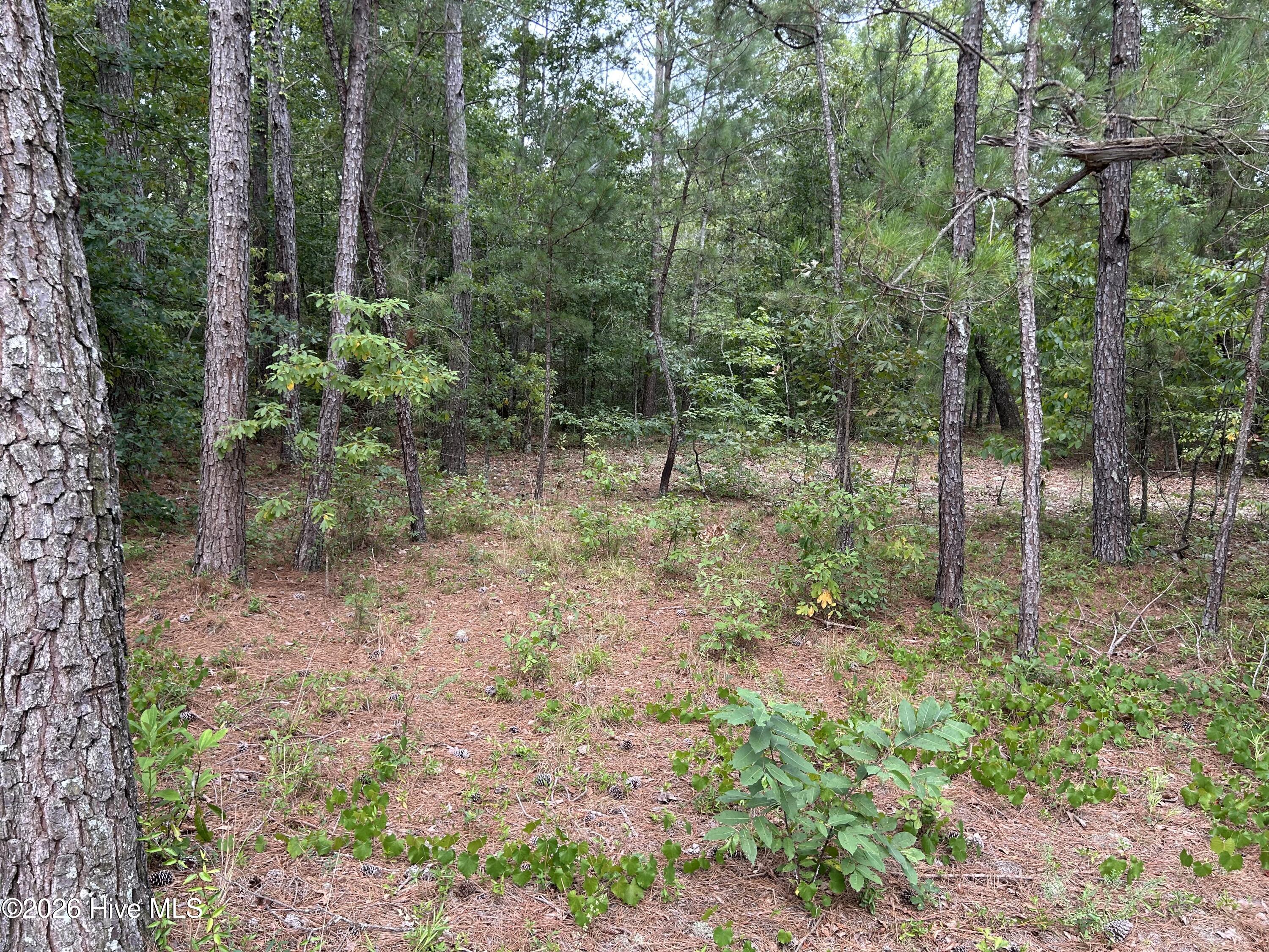 0000 Autrytown Road Property Photo 42
