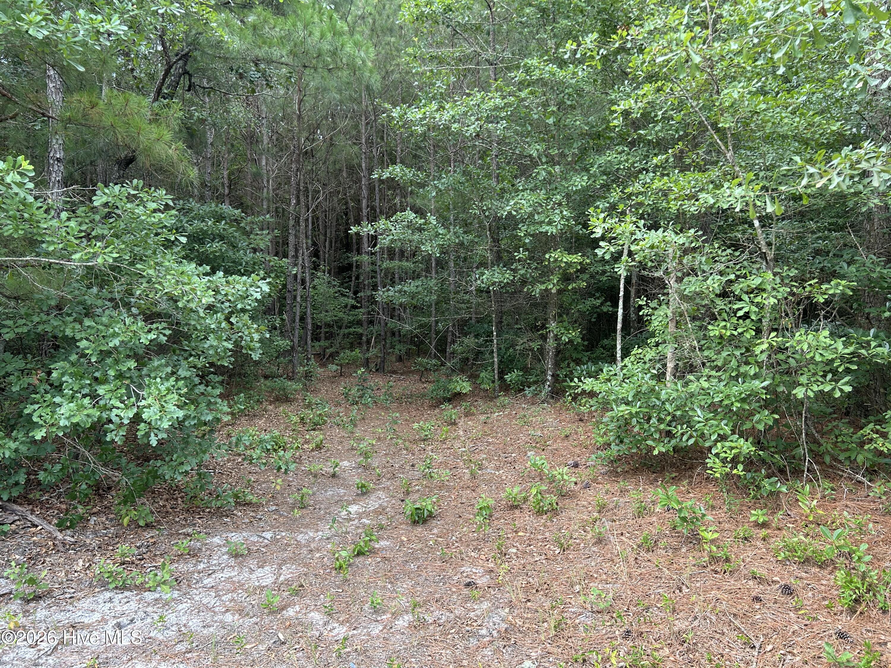 0000 Autrytown Road Property Photo 43
