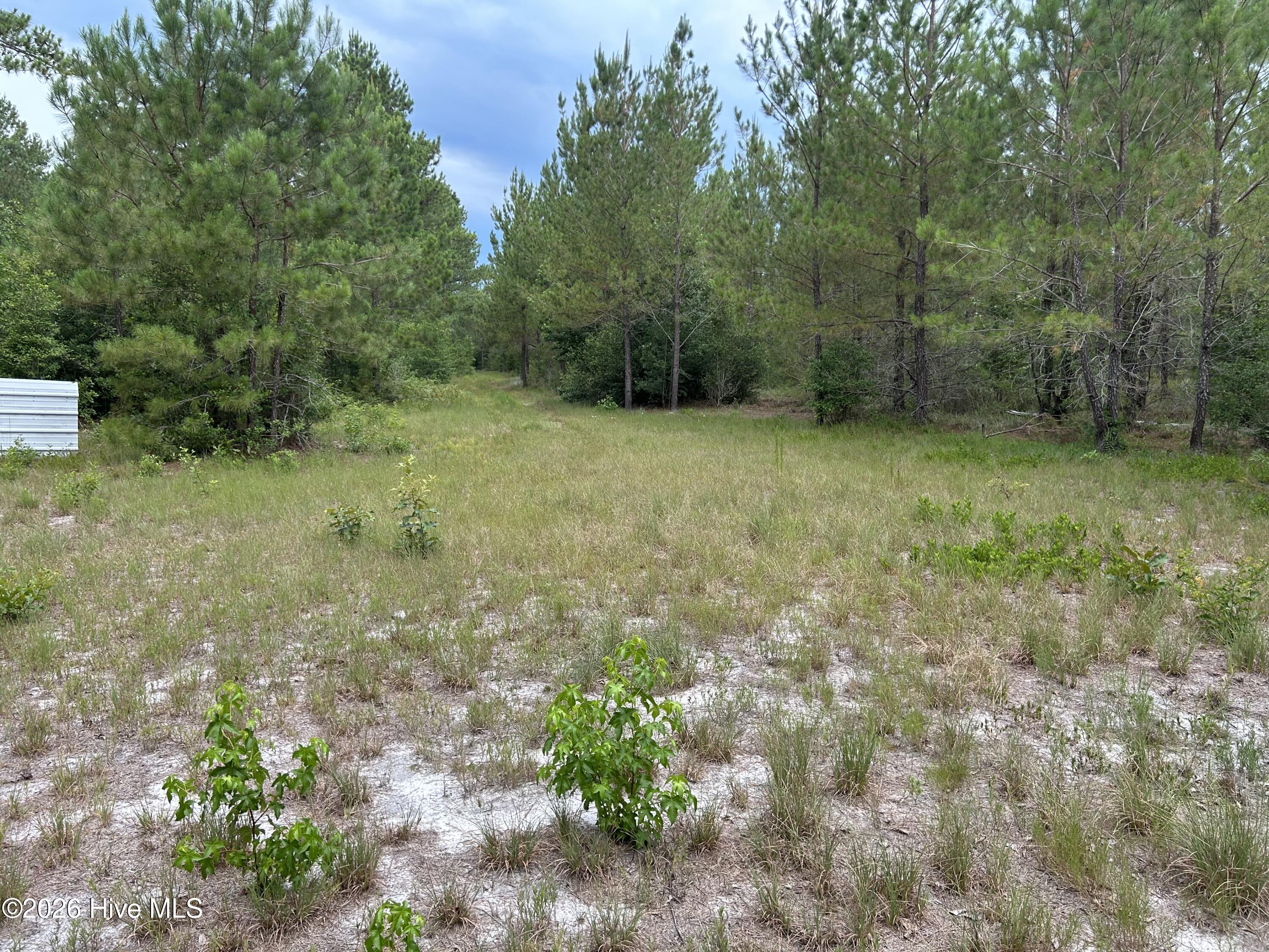 0000 Autrytown Road Property Photo 44