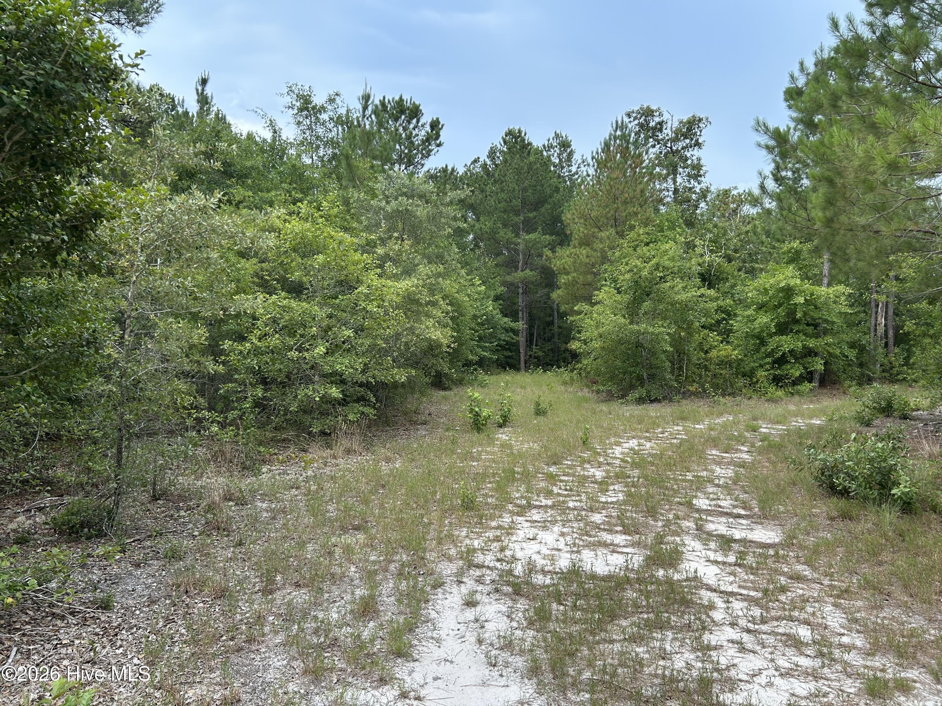 0000 Autrytown Road Property Photo 45