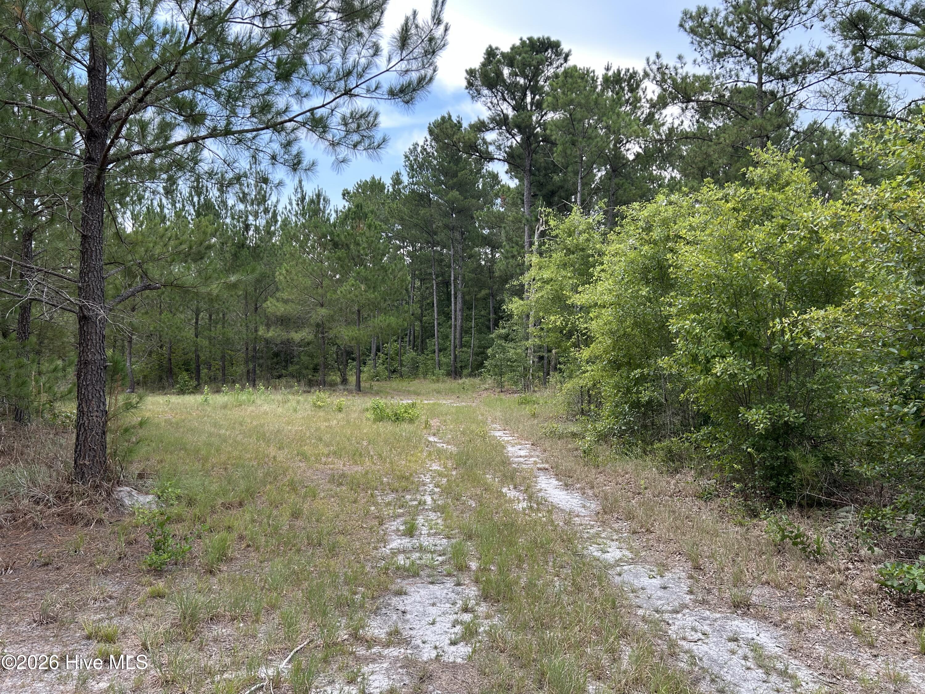 0000 Autrytown Road Property Photo 46