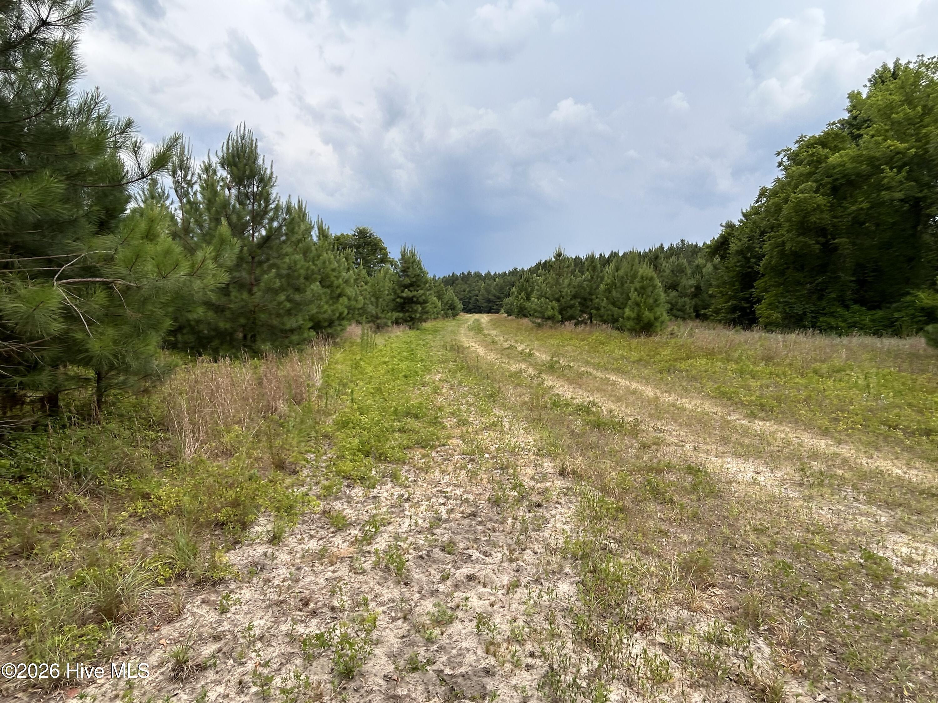 0000 Autrytown Road Property Photo 47
