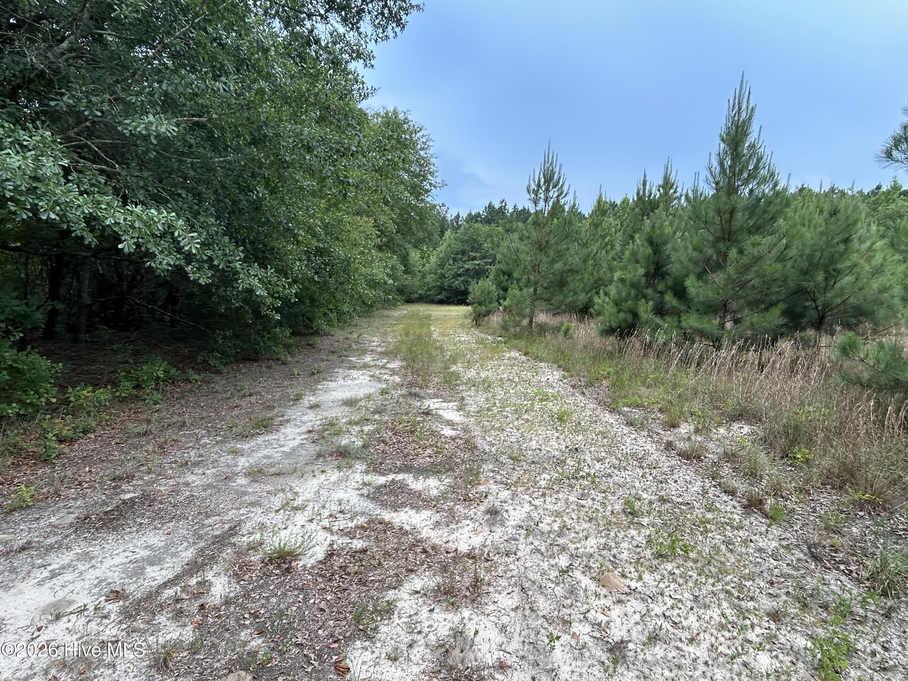 0000 Autrytown Road Property Photo 49