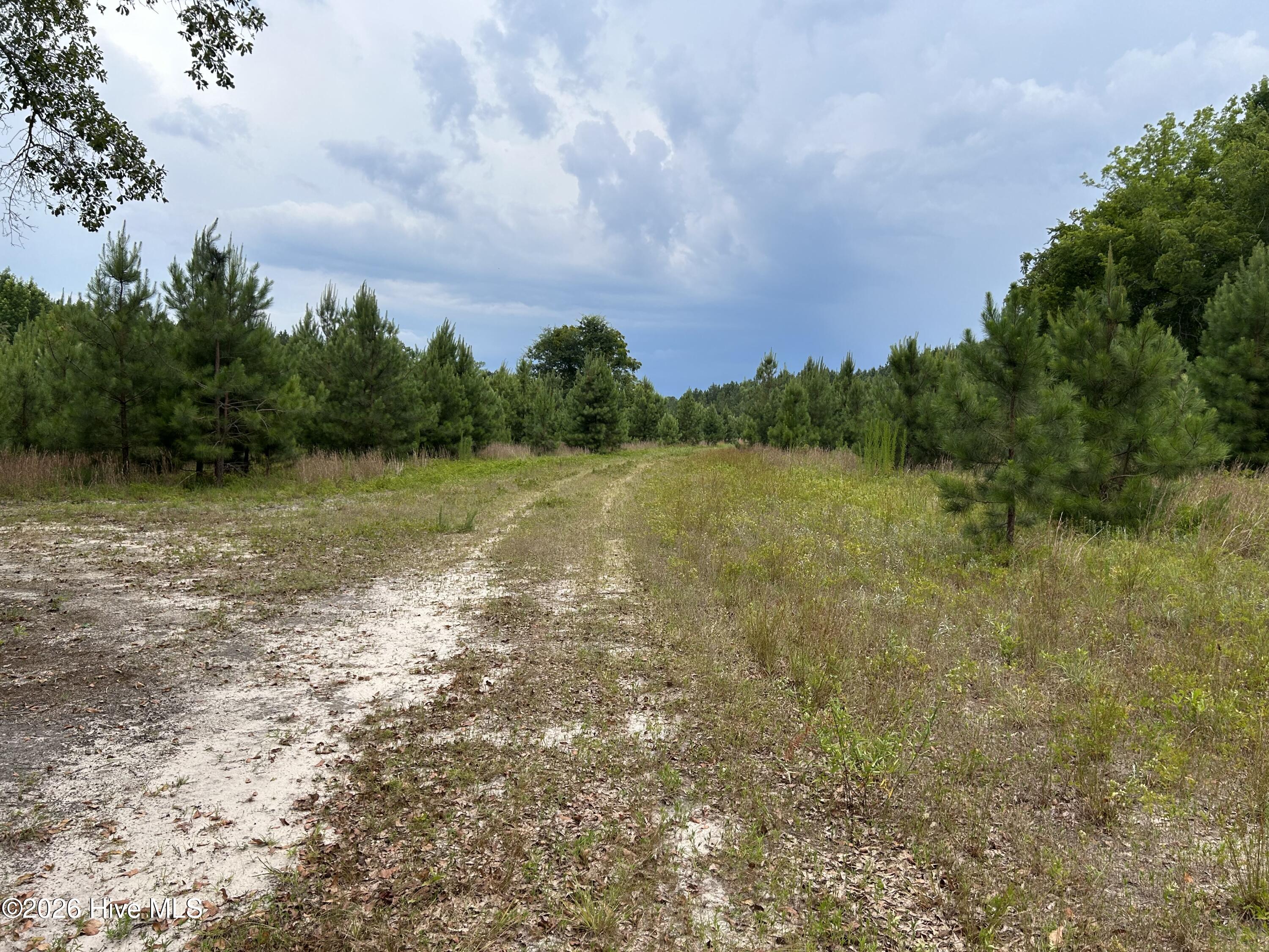 0000 Autrytown Road Property Photo 51