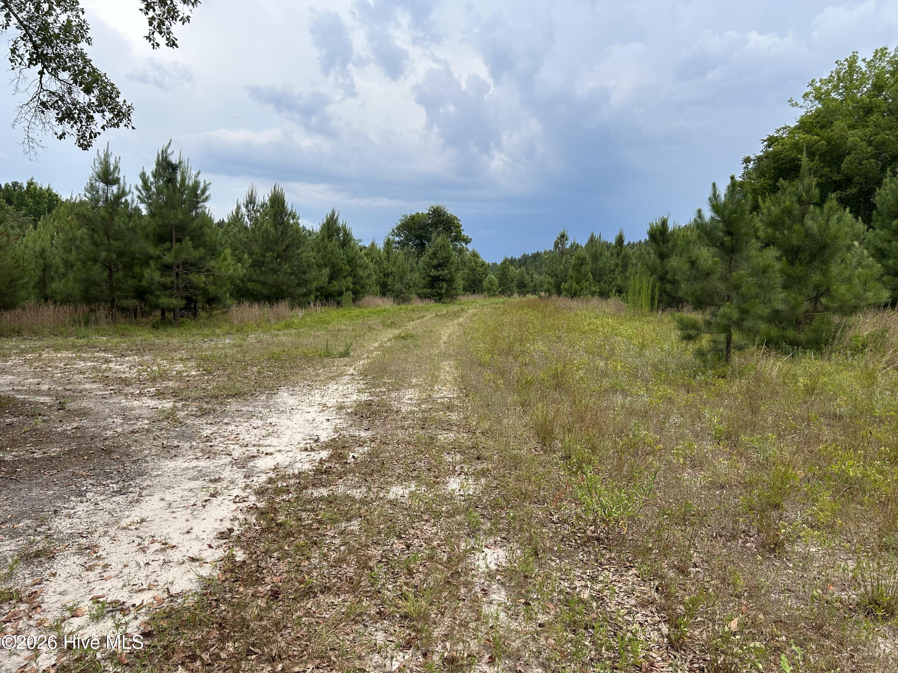 0000 Autrytown Road Property Photo 52