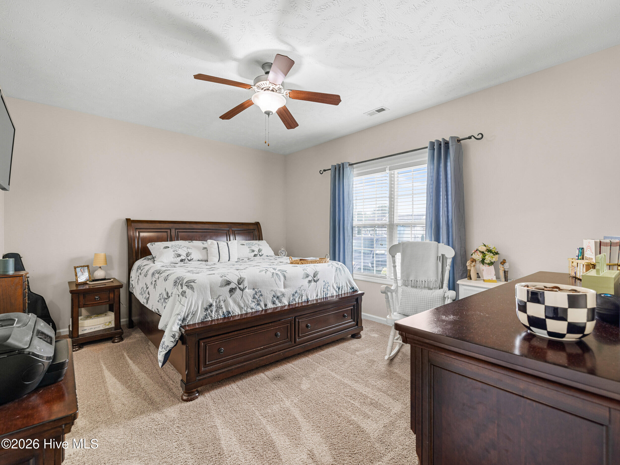 210 Classy Court Property Photo 14