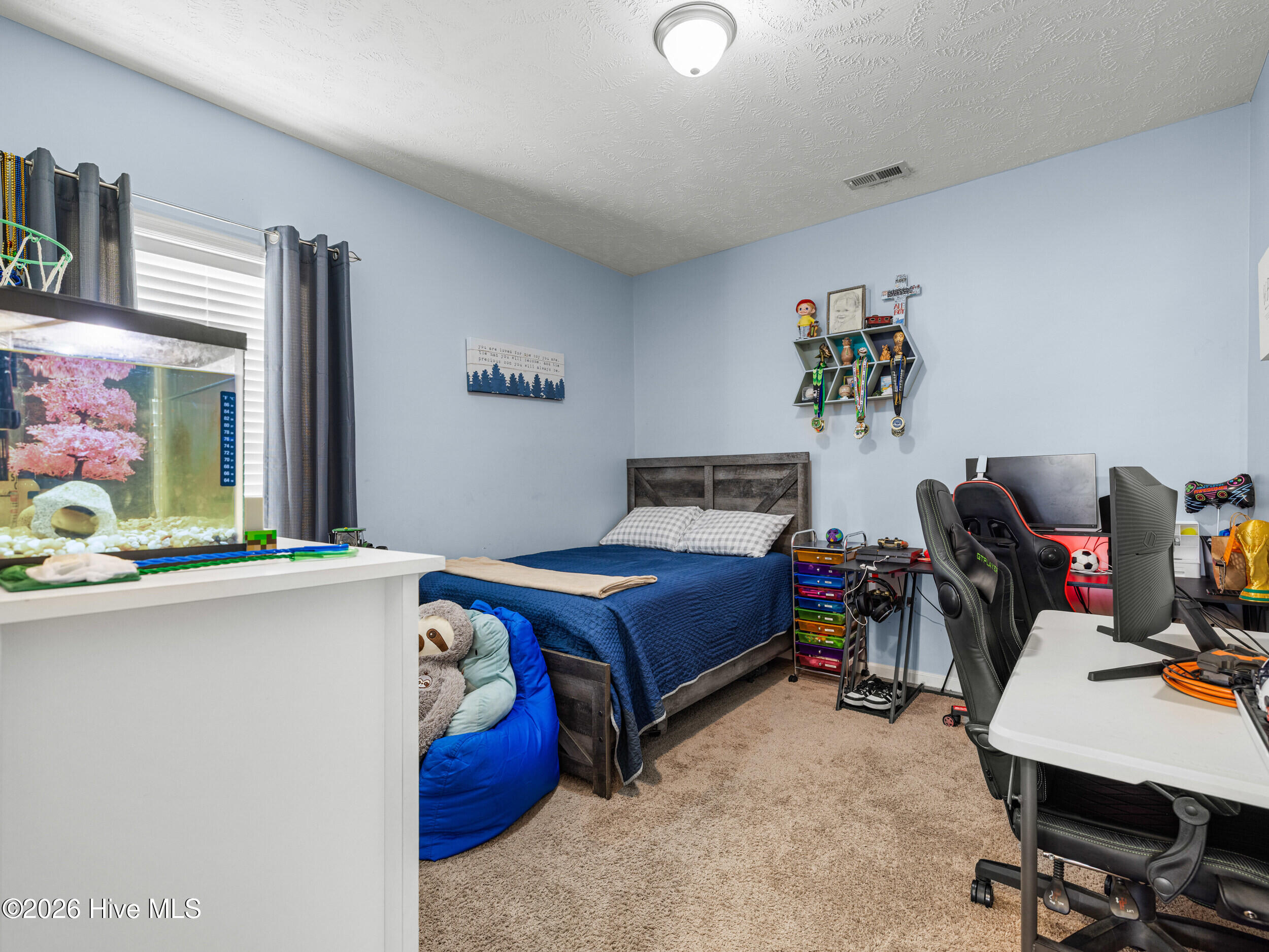 210 Classy Court Property Photo 20