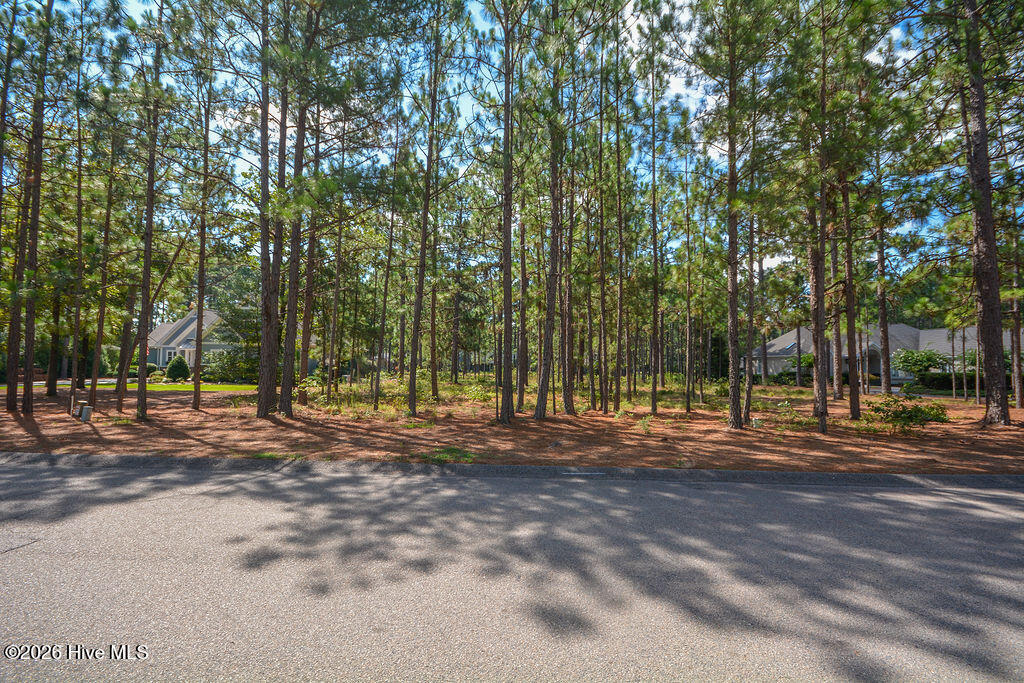 45 Abbottsford Drive Property Photo 7