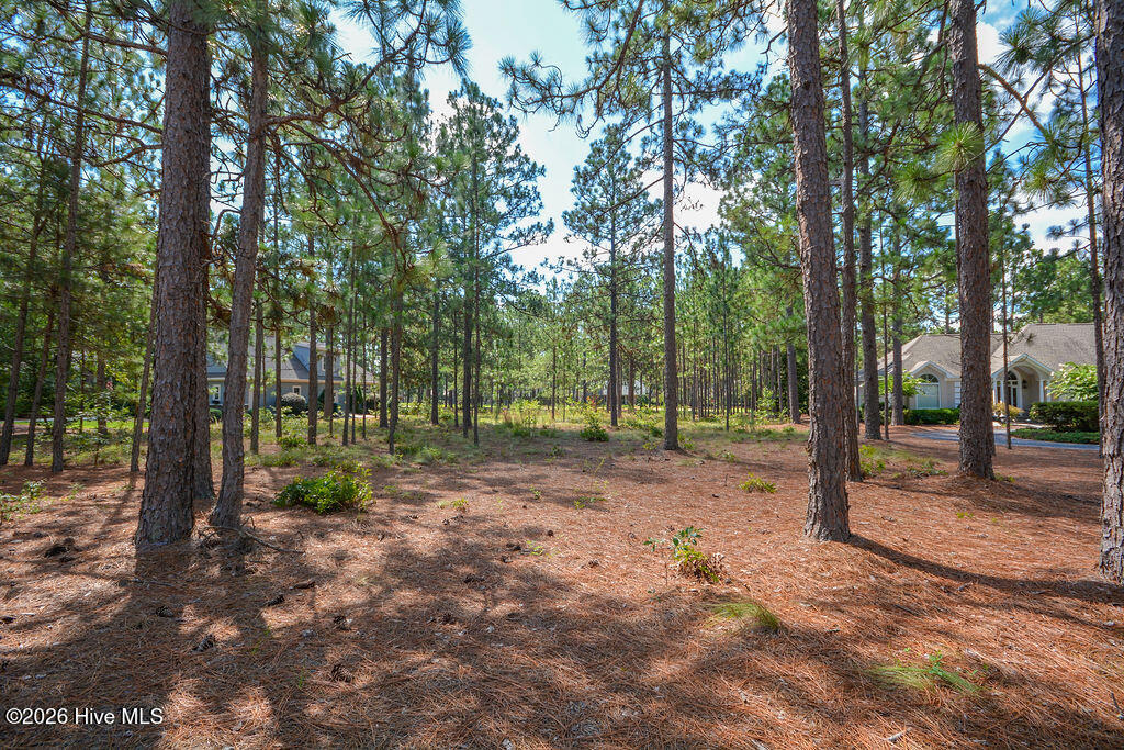 45 Abbottsford Drive Property Photo 8