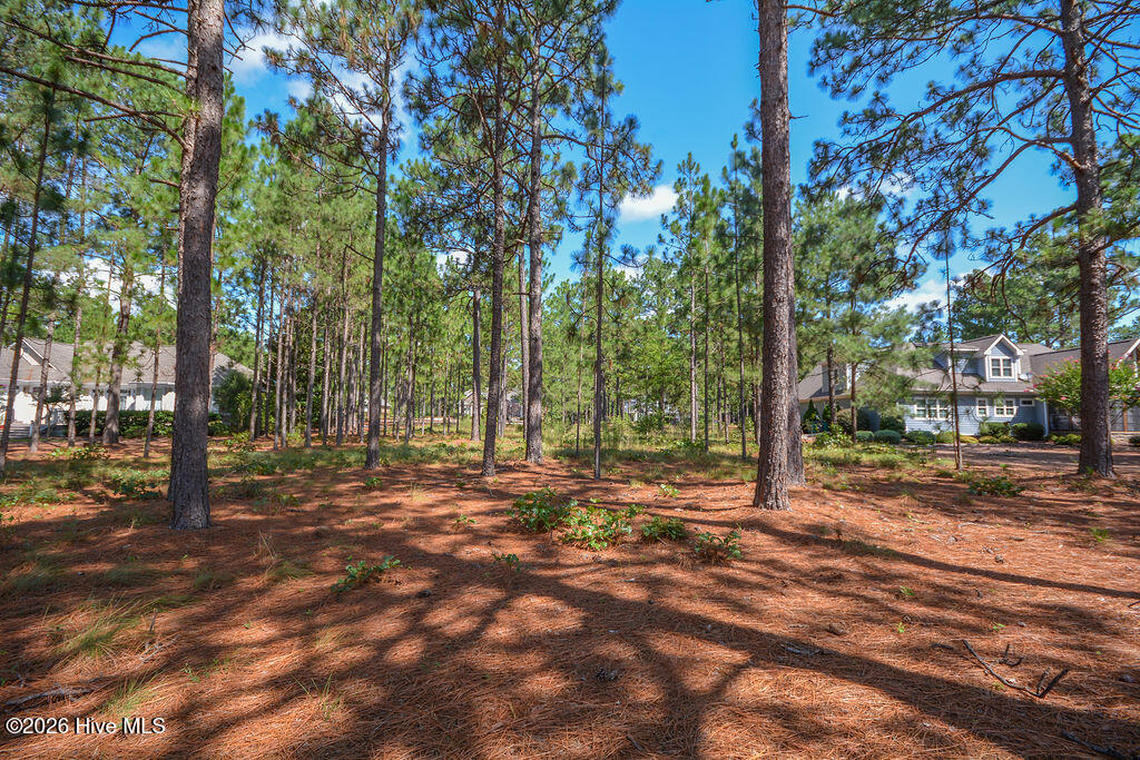 45 Abbottsford Drive Property Photo 16
