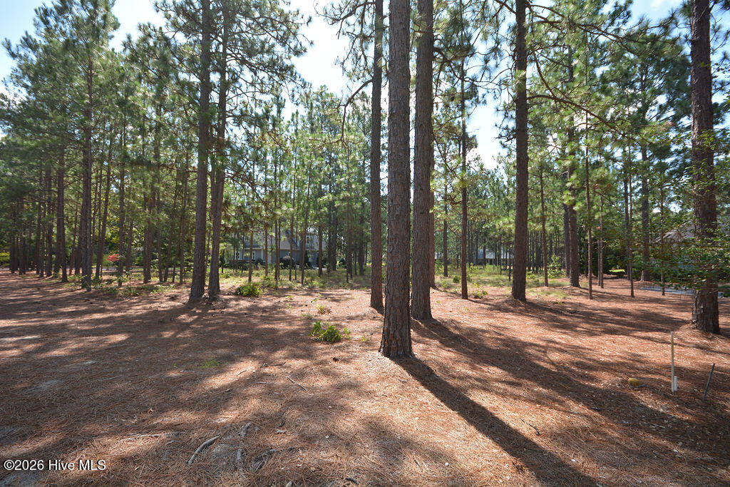 45 Abbottsford Drive Property Photo 17