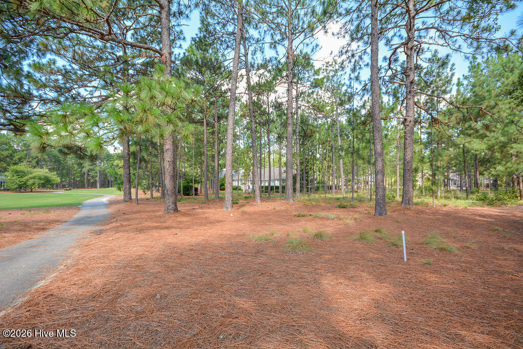 45 Abbottsford Drive Property Photo 18