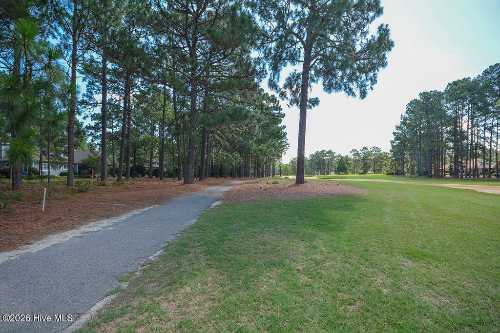 45 Abbottsford Drive Property Photo 19