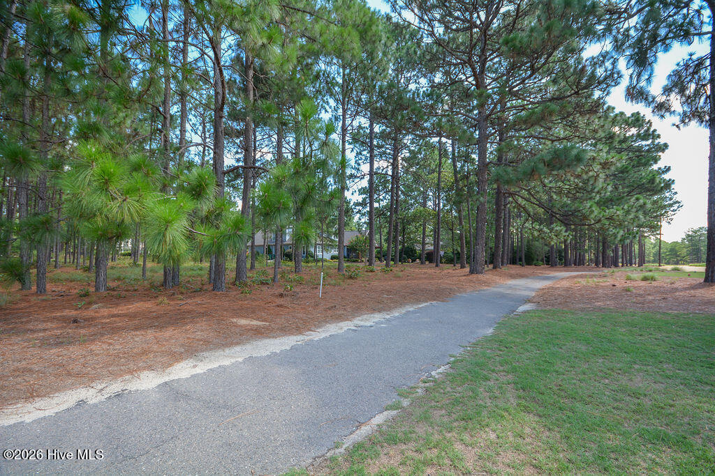 45 Abbottsford Drive Property Photo 20