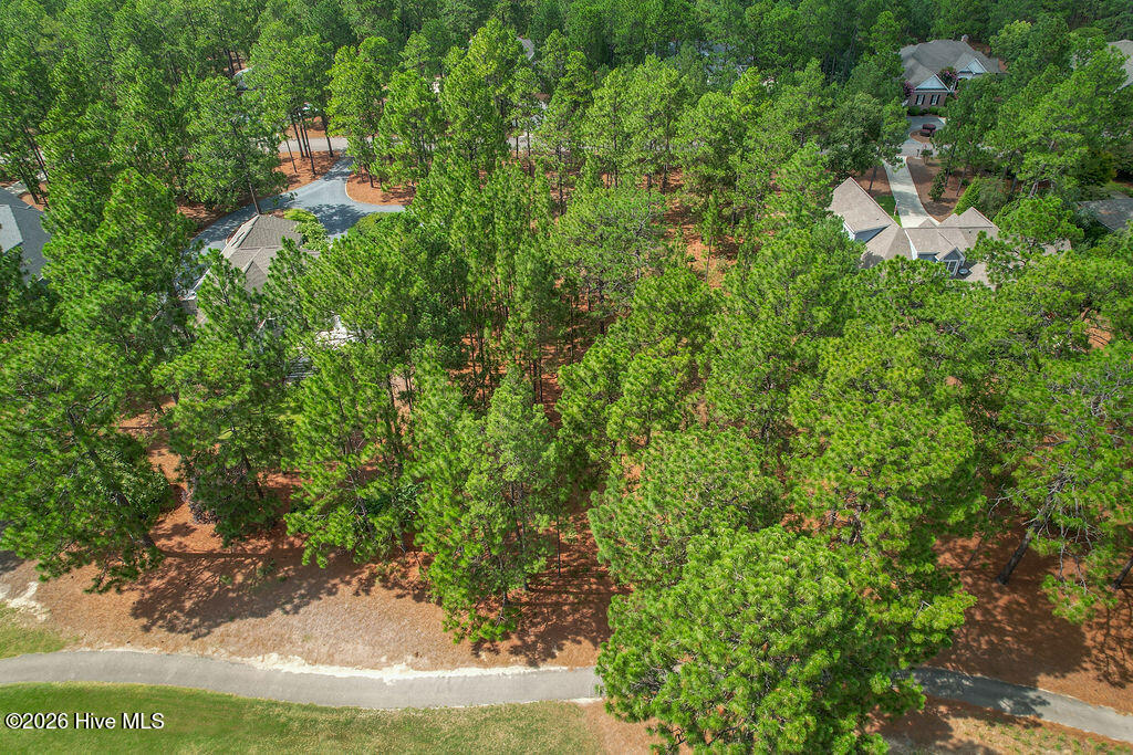 45 Abbottsford Drive Property Photo 29