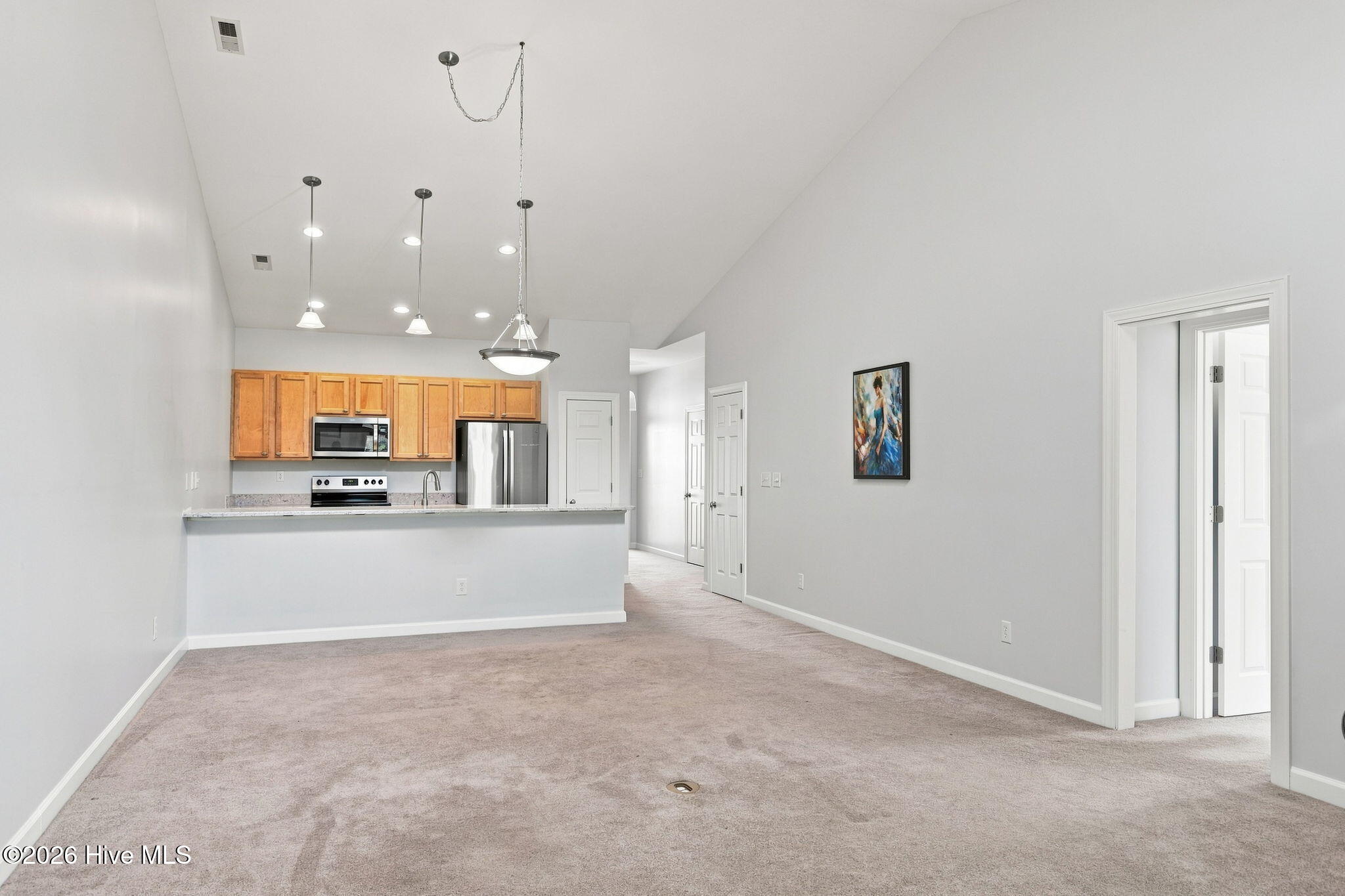 505 Village Green Drive A Property Photo 7